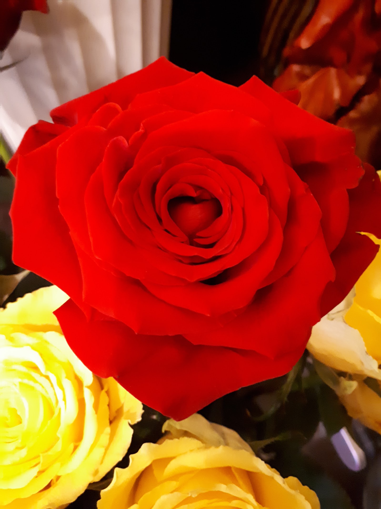 FLORARIA BOLO REY