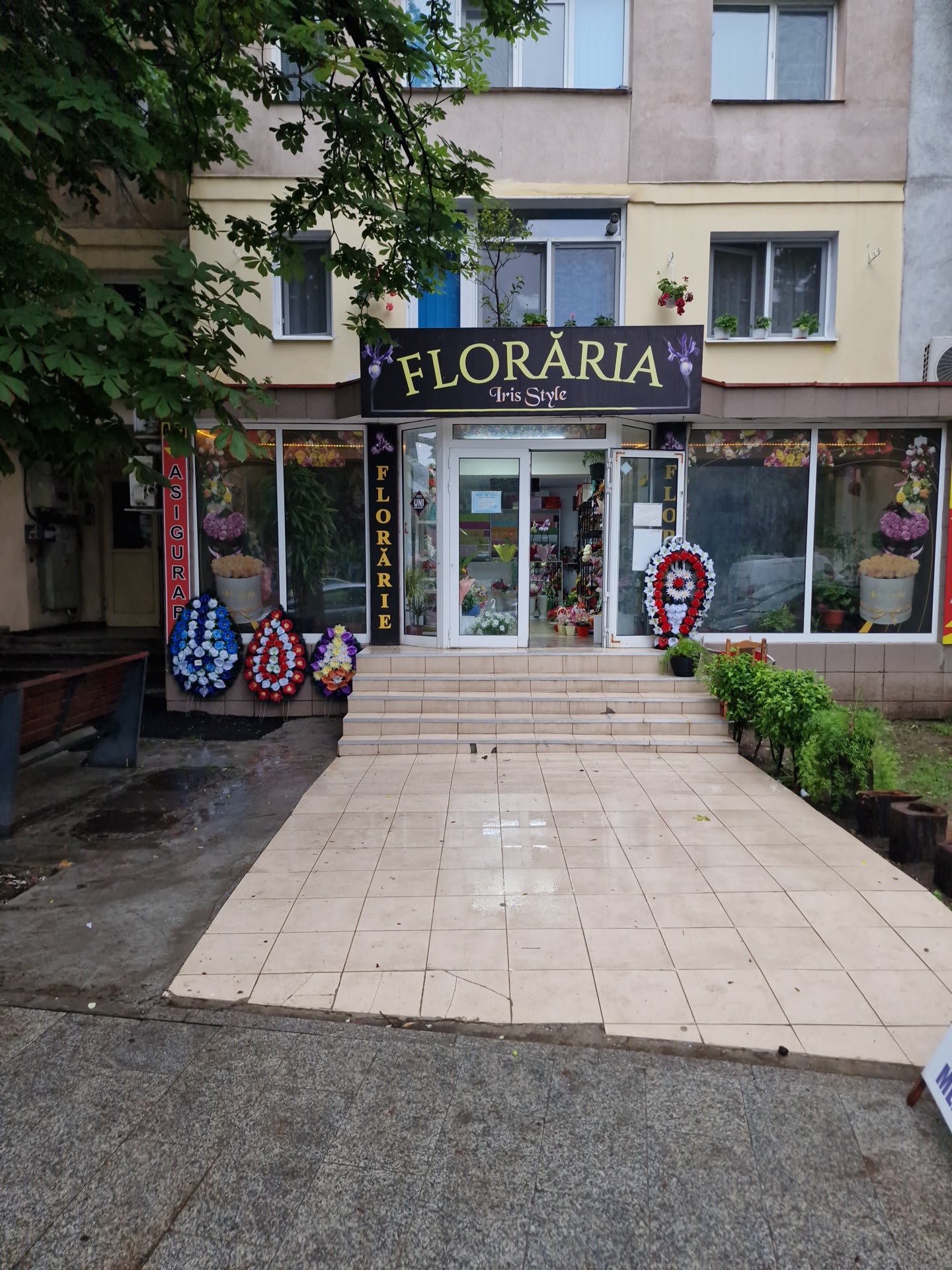 FLORARIA IRISS STYLE