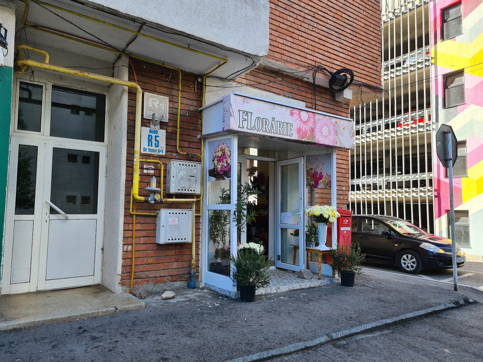 Florăria Ancora