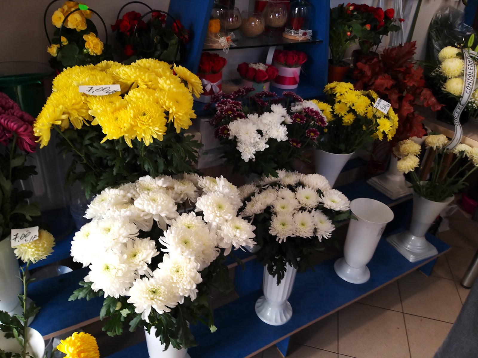 Florăria Ancora