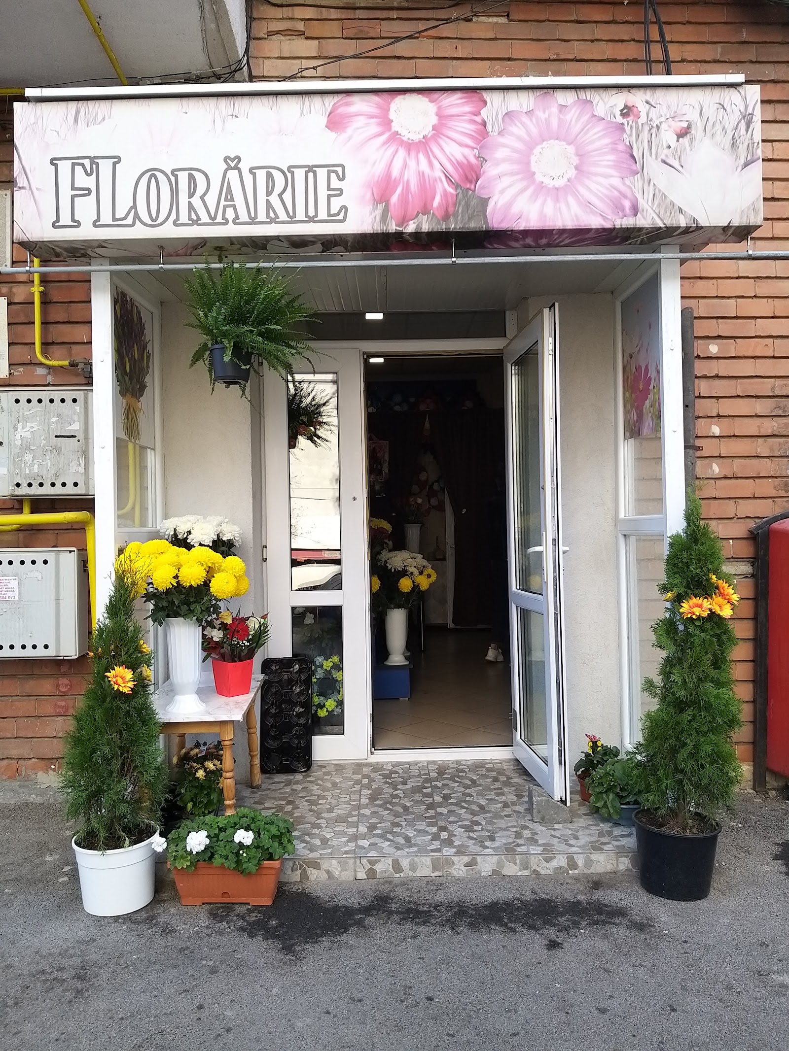 Florăria Ancora