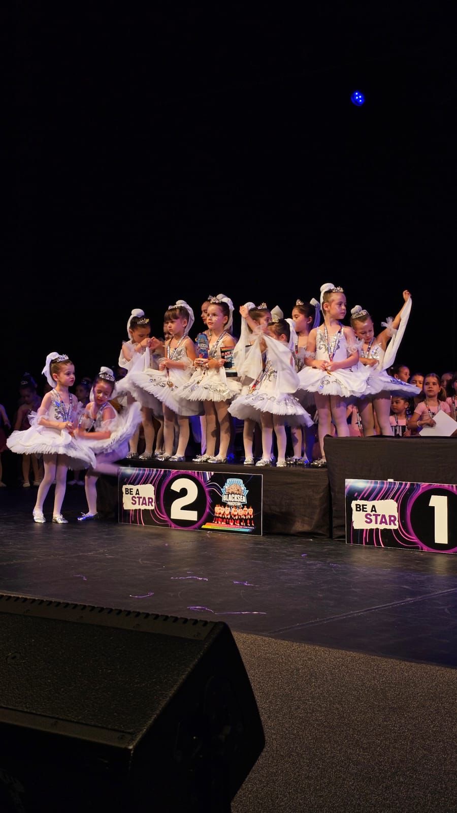 Fantastic Art Dance Company