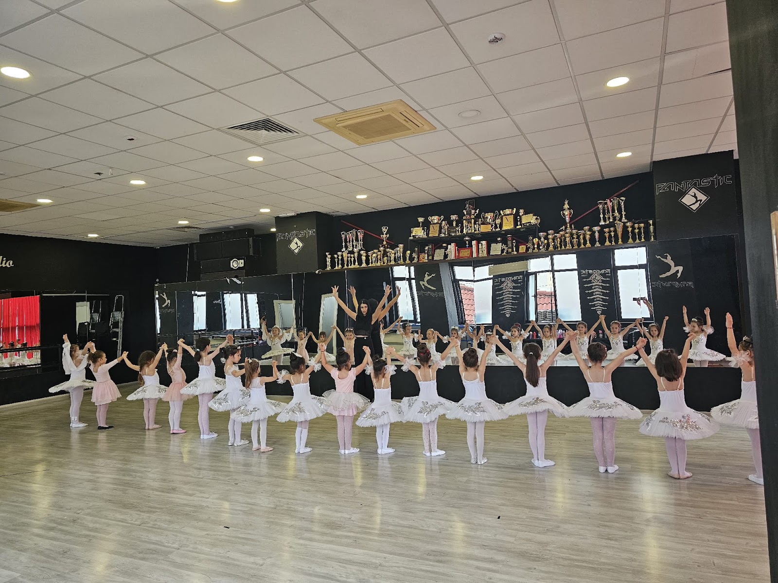 Fantastic Art Dance Company