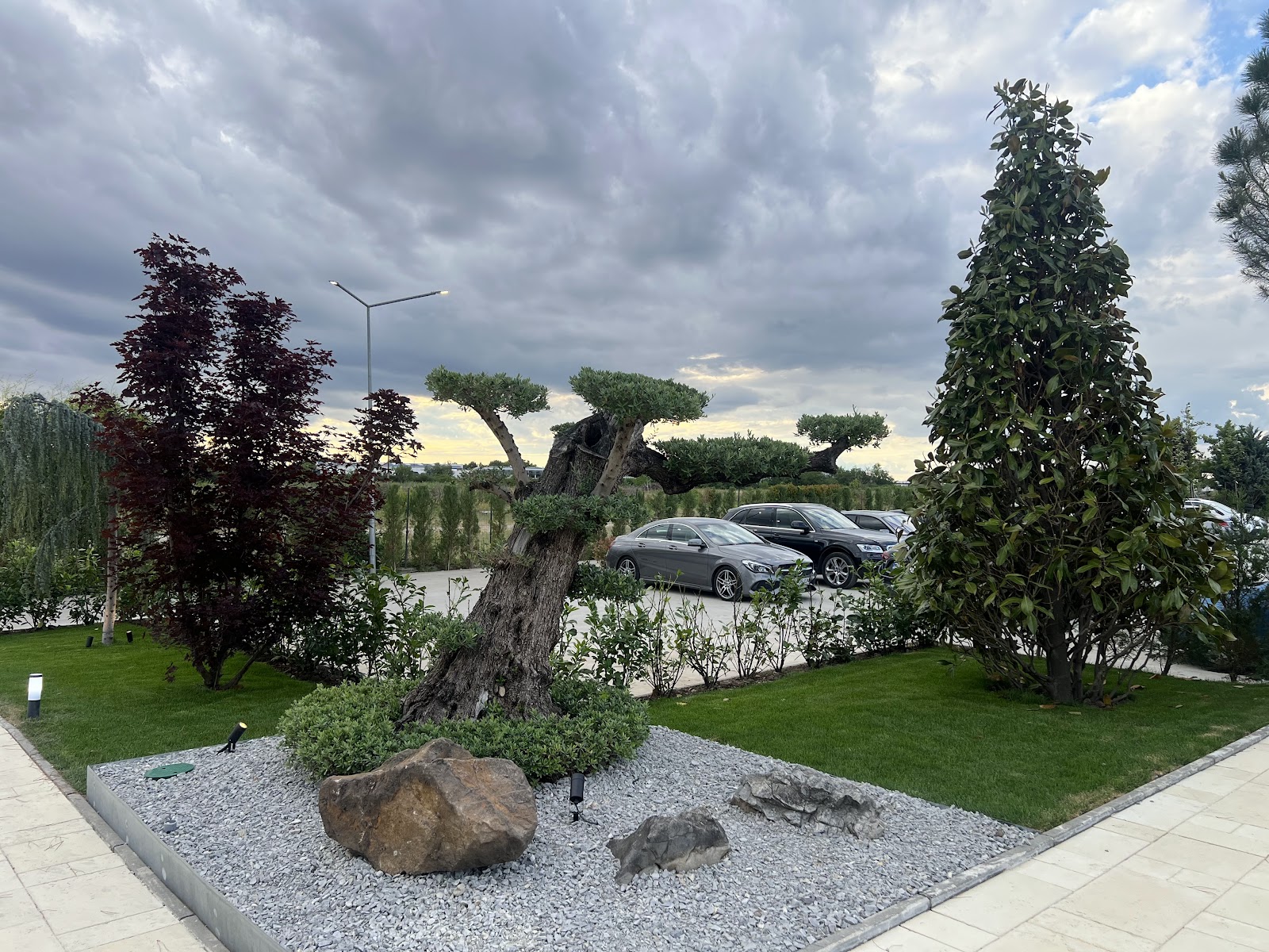 Dacardi Events