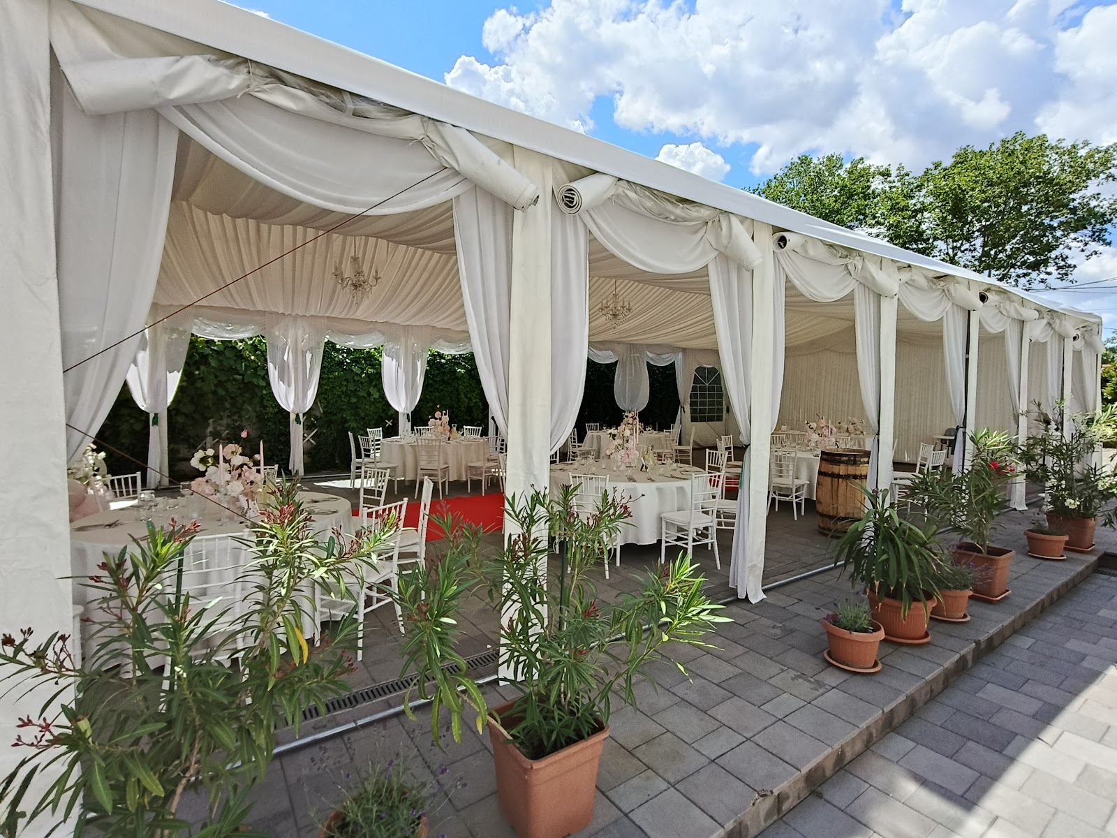 Vine Summer Garden & Grill