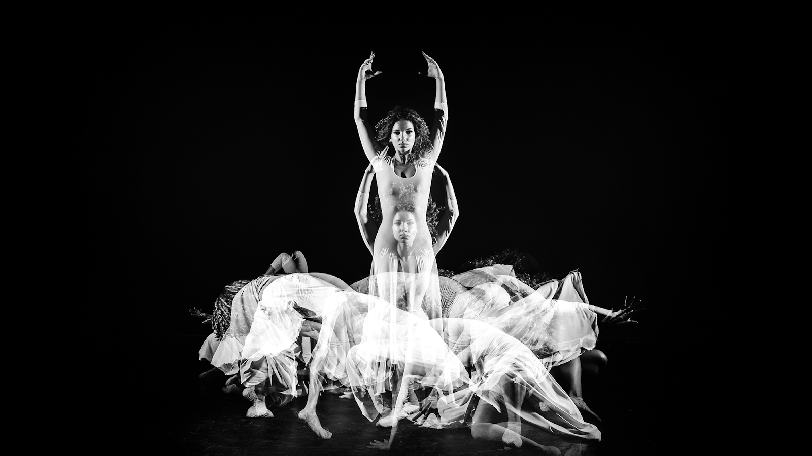 Silviu Filip - Studio Foto