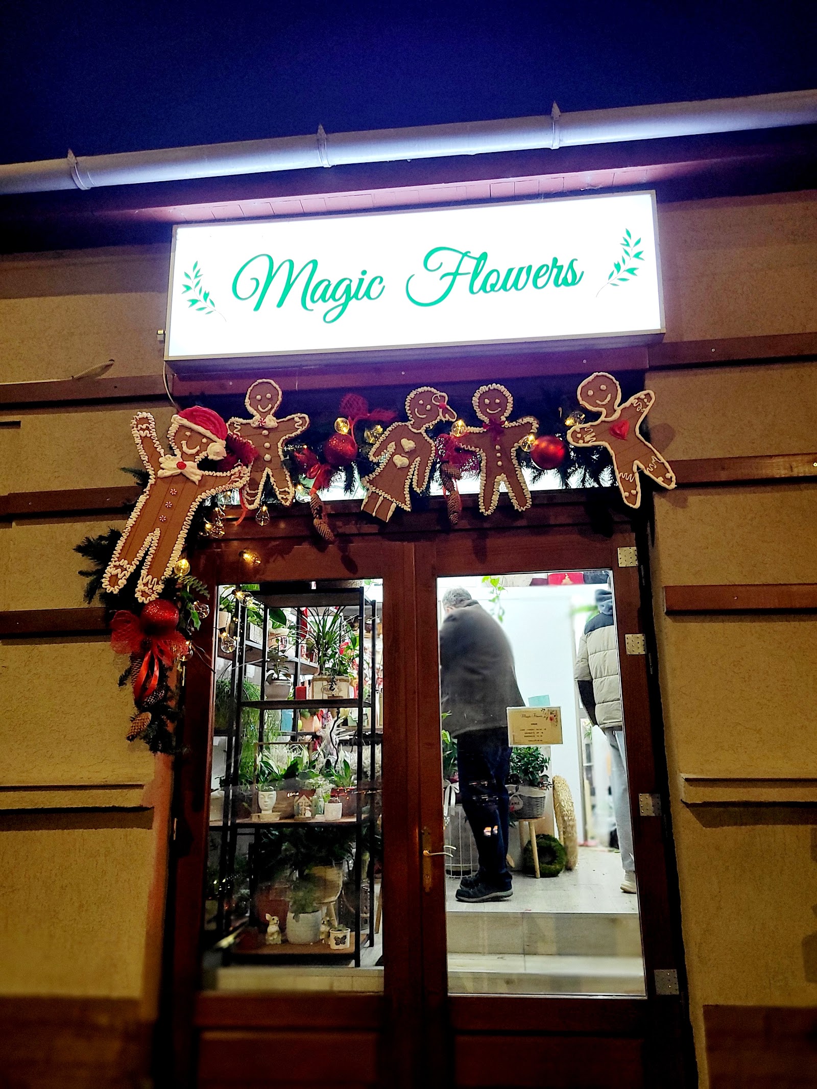 Magic Flowers