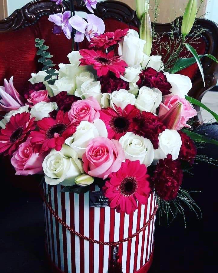 Thea Decor