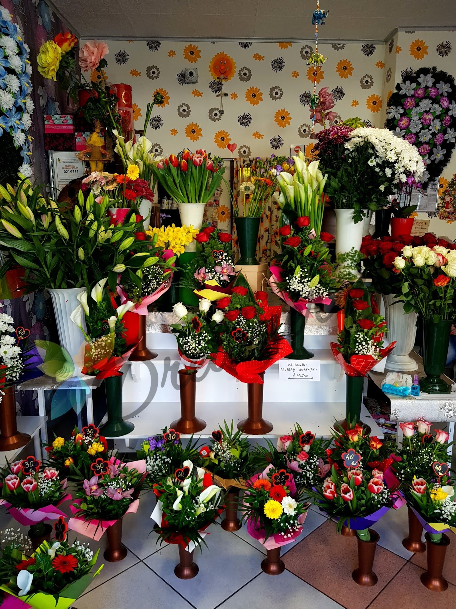 Florăria Ioşia