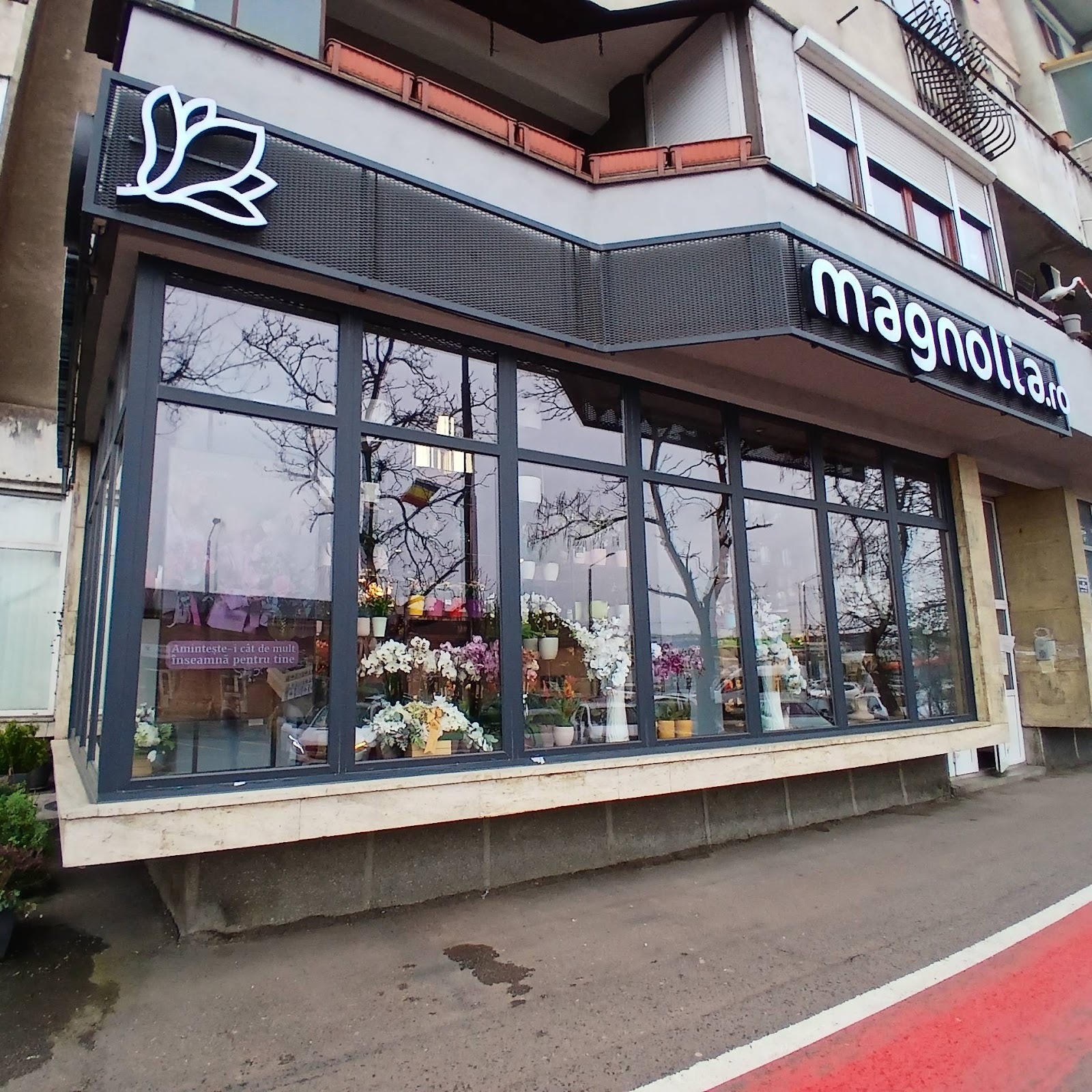 Florăria Magnolia (B-dul Decebal)
