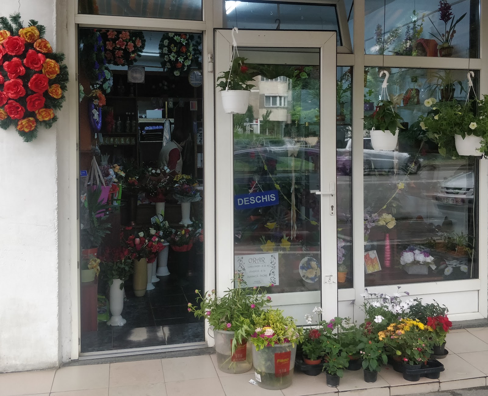 Floraria Muntean