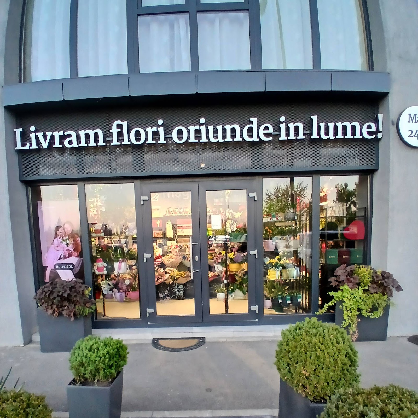 Florăria Magnolia