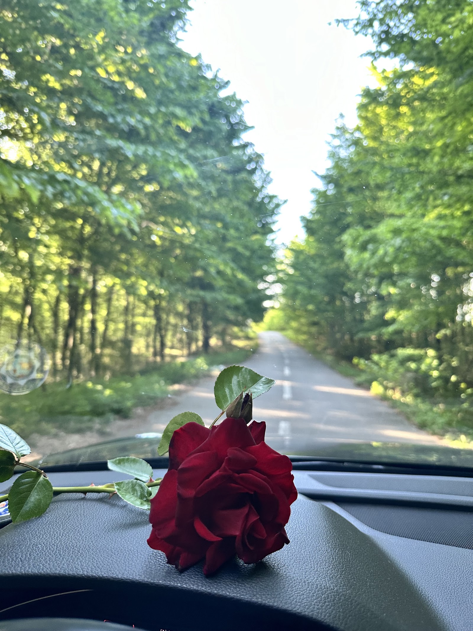 Floraria Nina