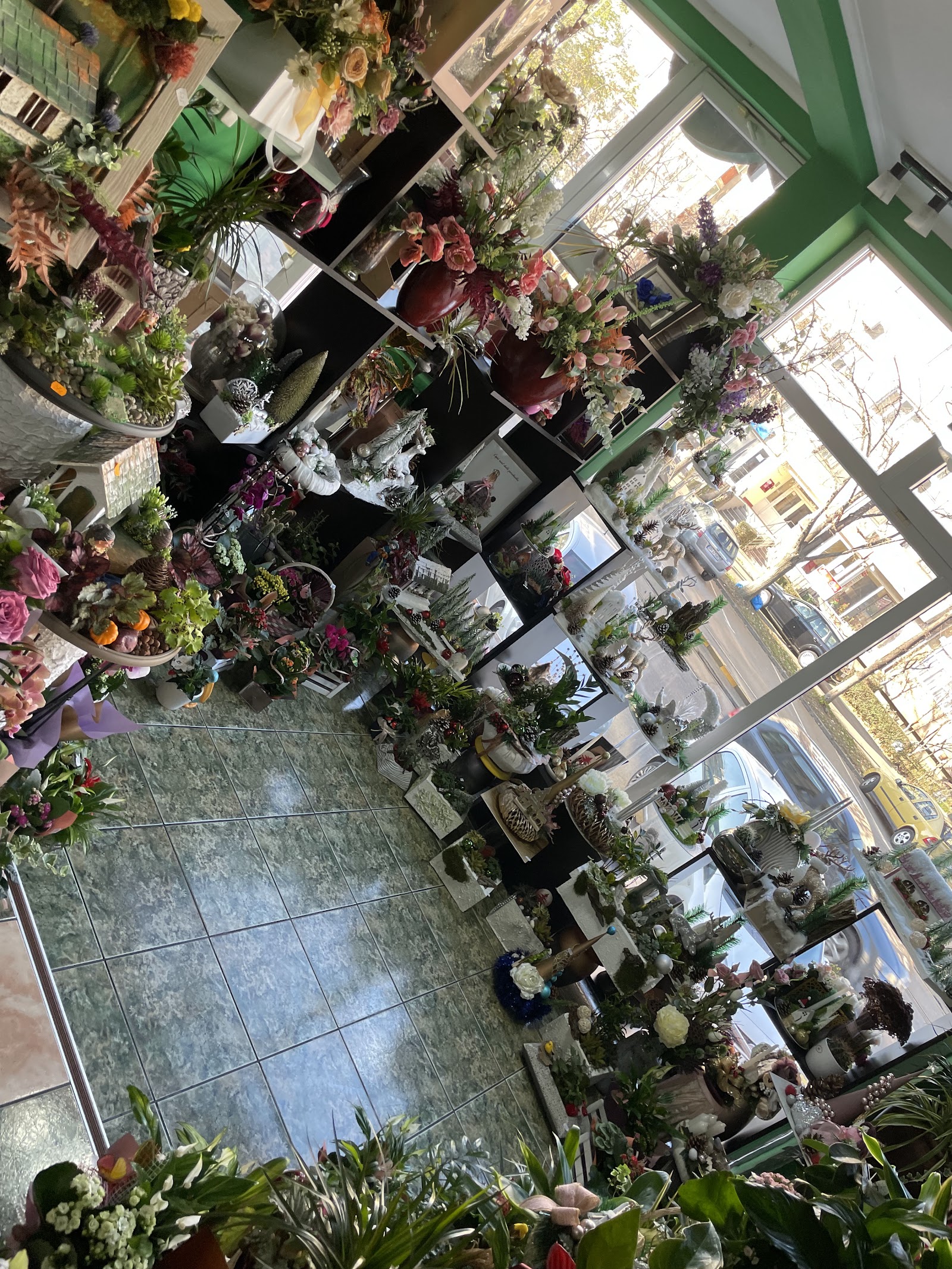 Floraria Nina