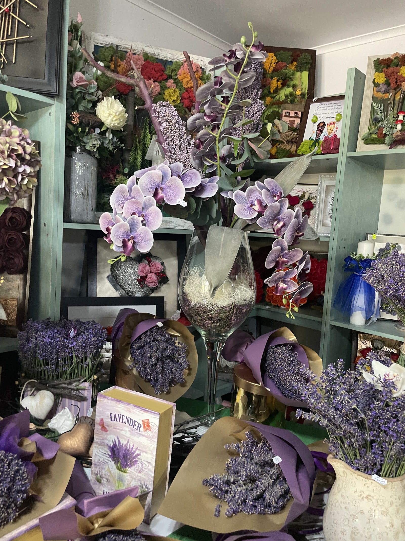 Floraria Nina