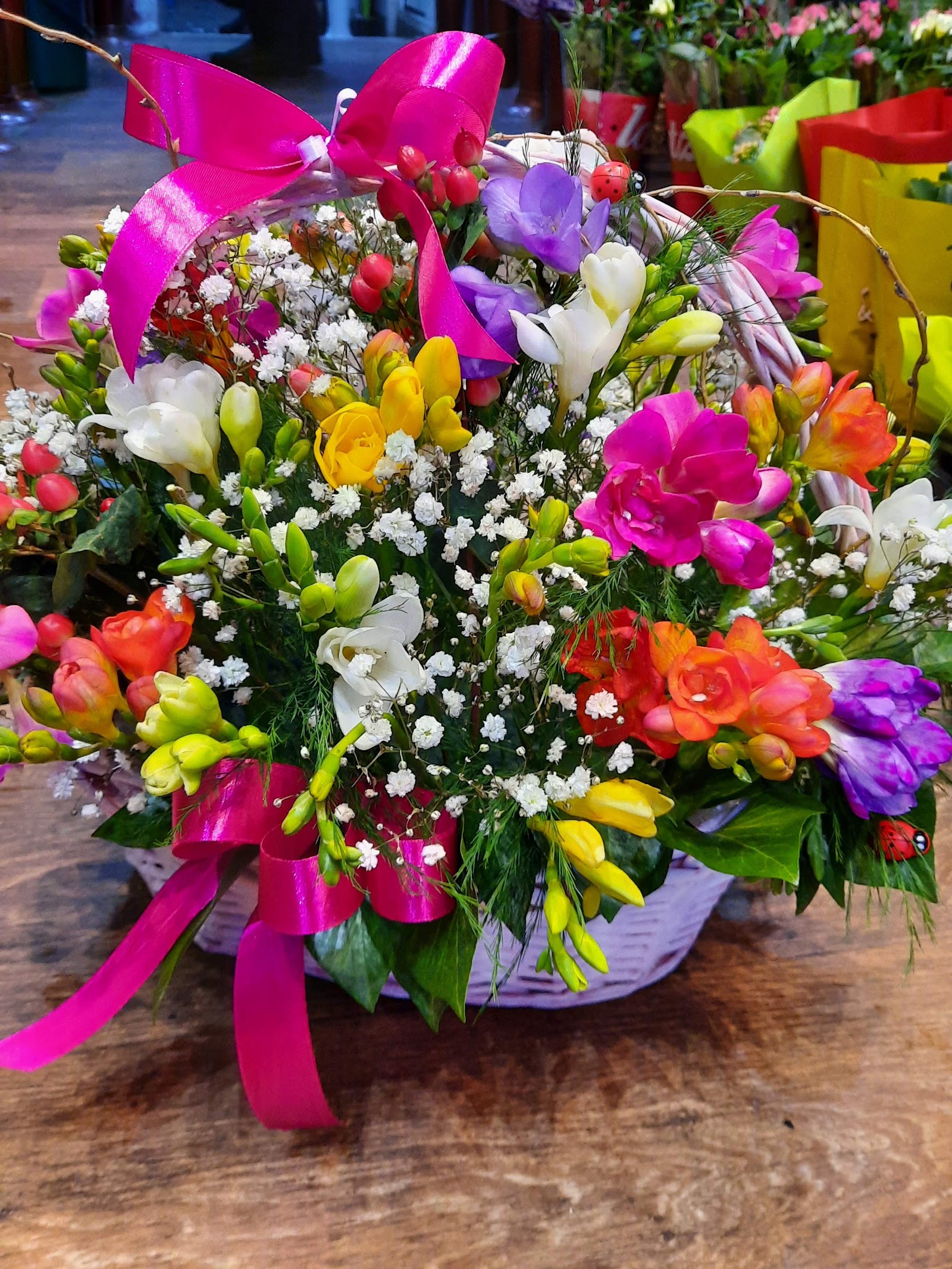 Floraria Andoria