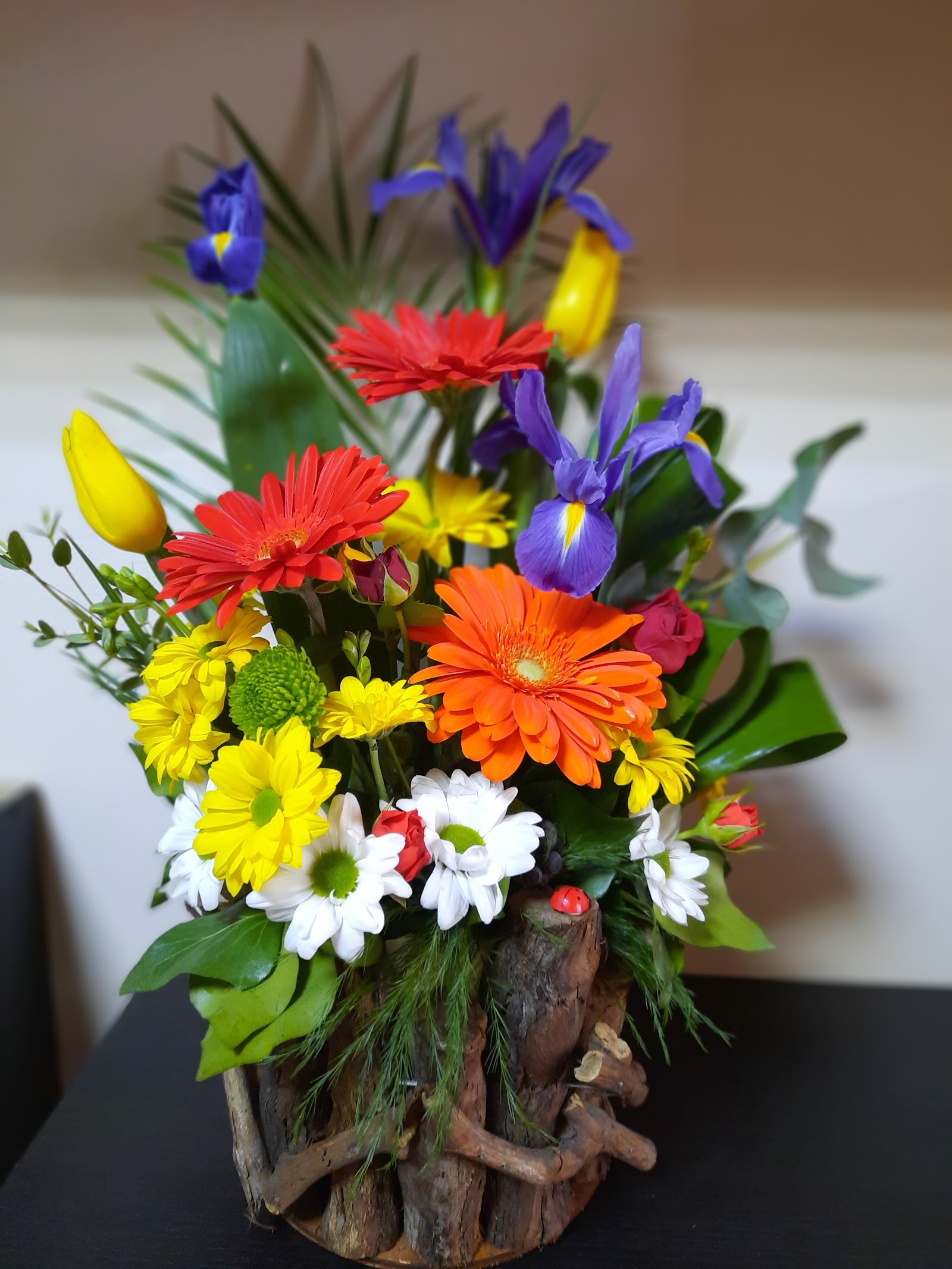 Floraria Andoria