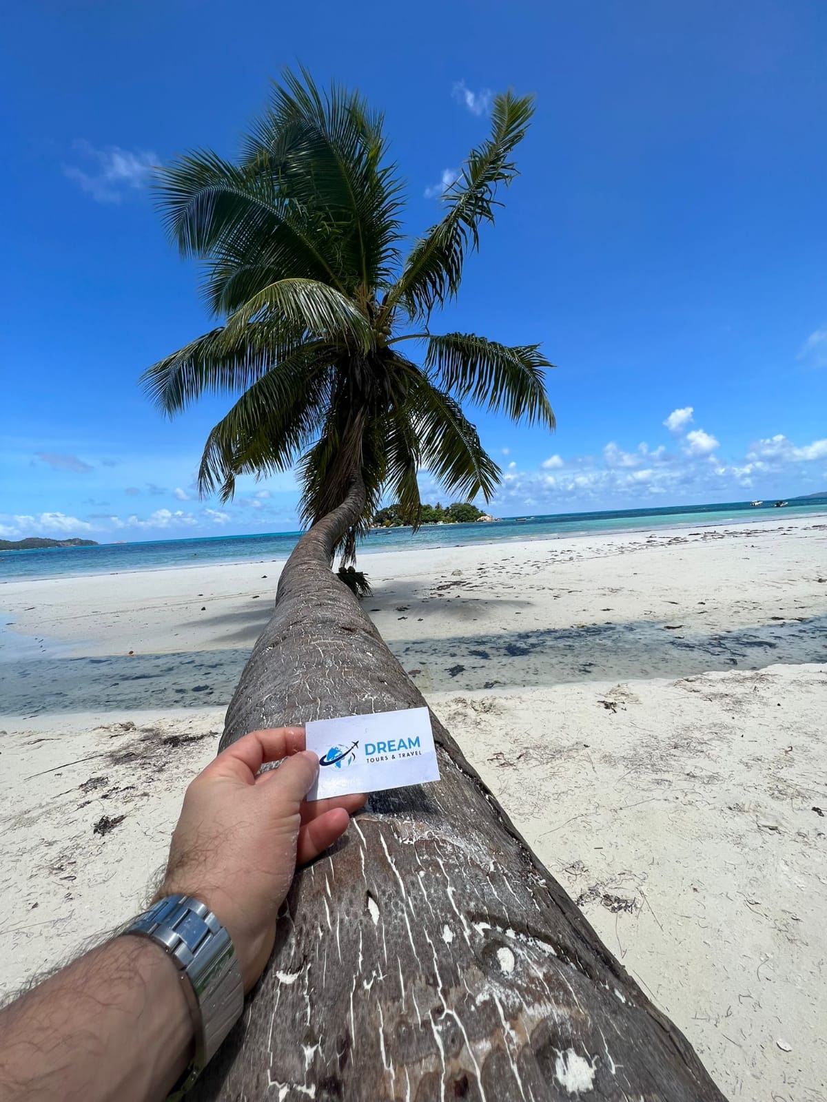 Dream Tours & Travel