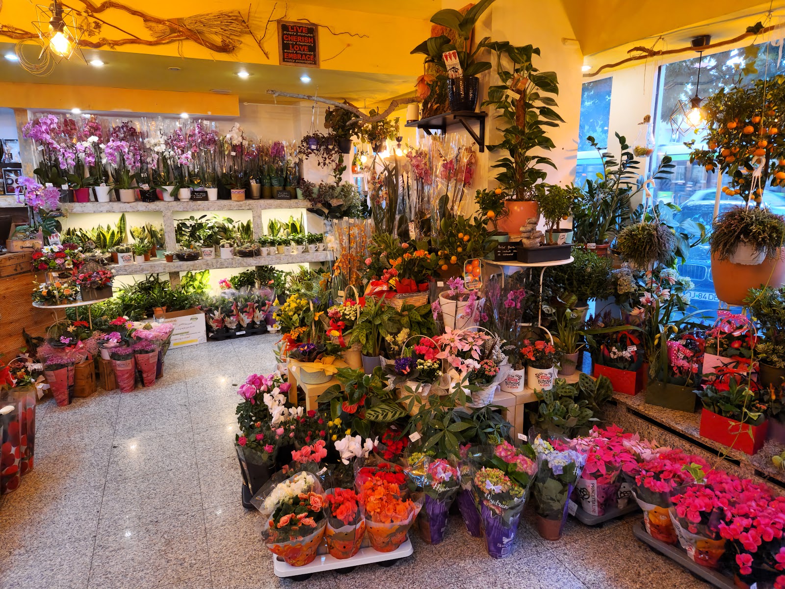 Floraria Design Floral