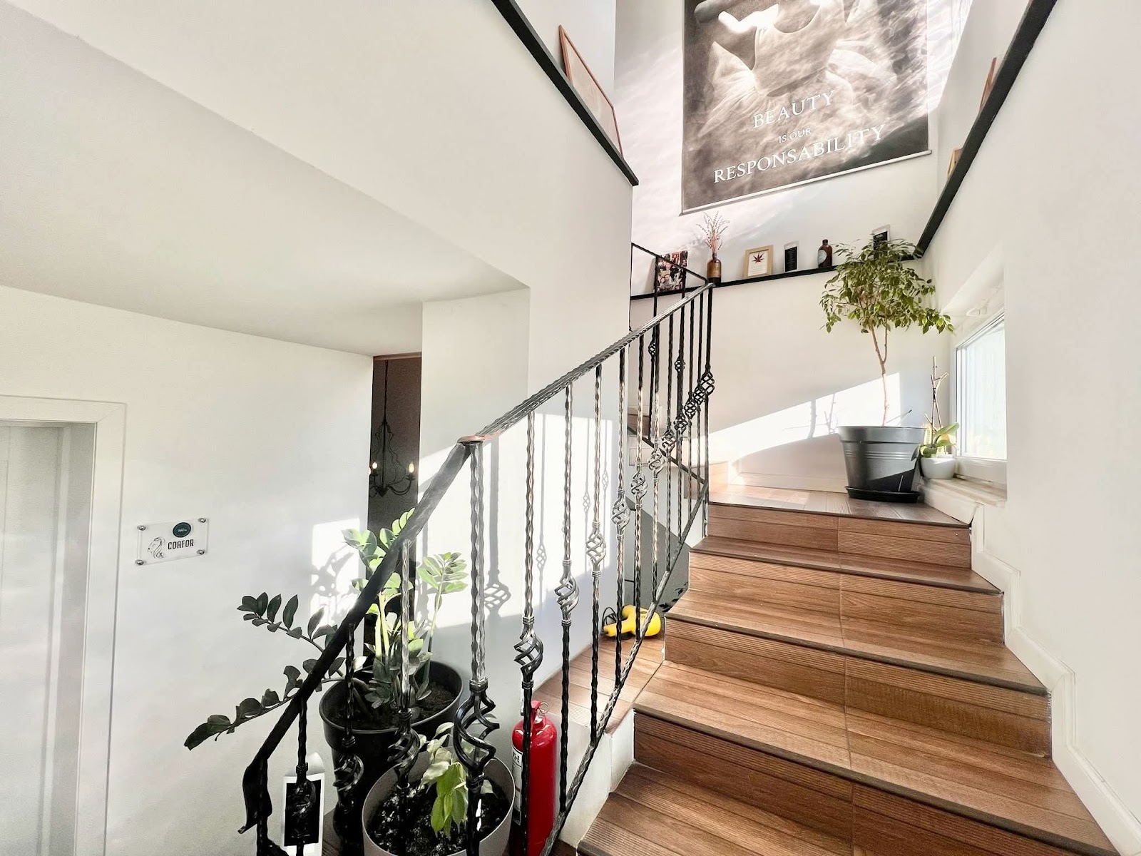 HM Studio by Horia Marchis