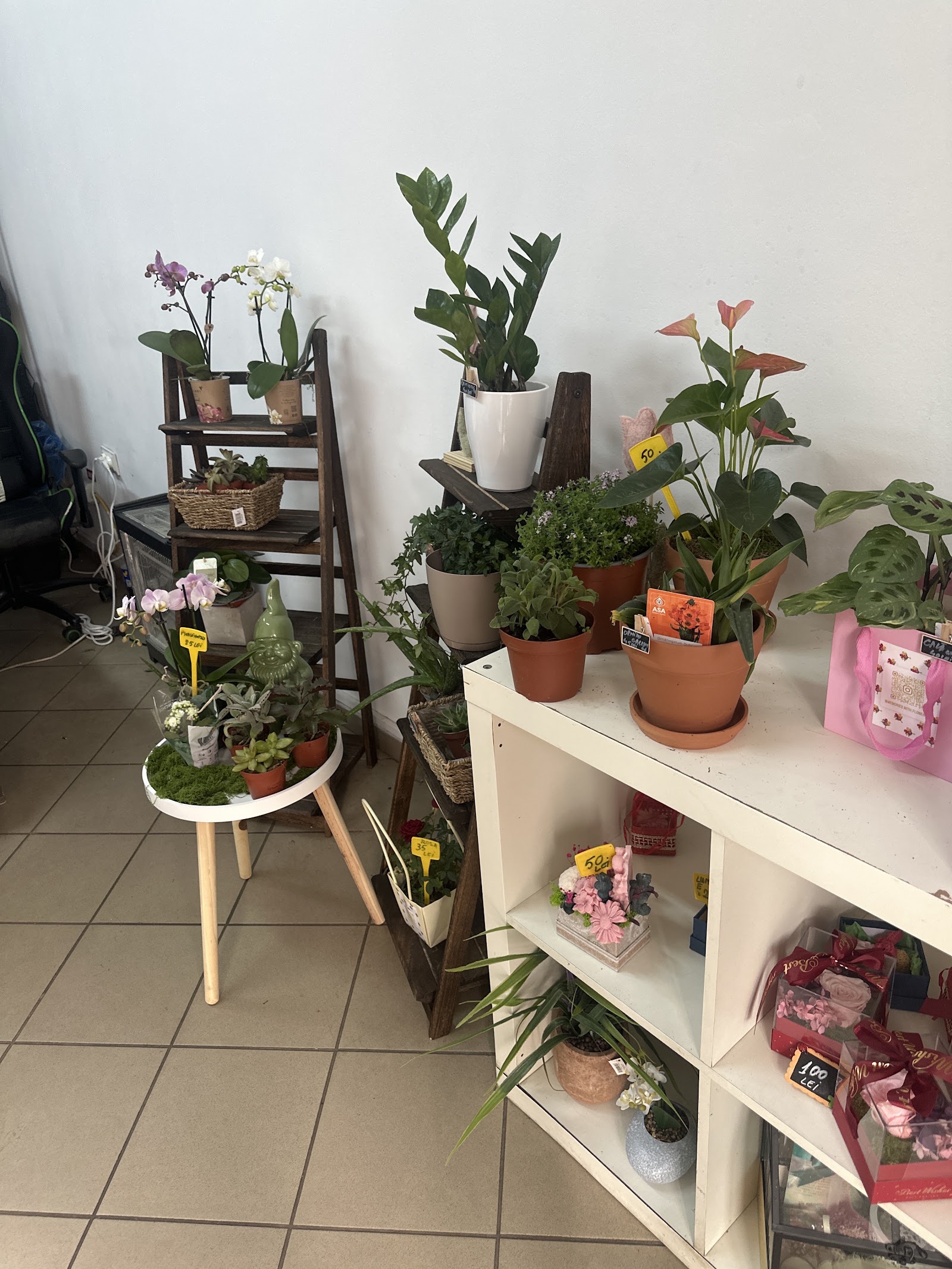 Memories with Flowers – Florărie București