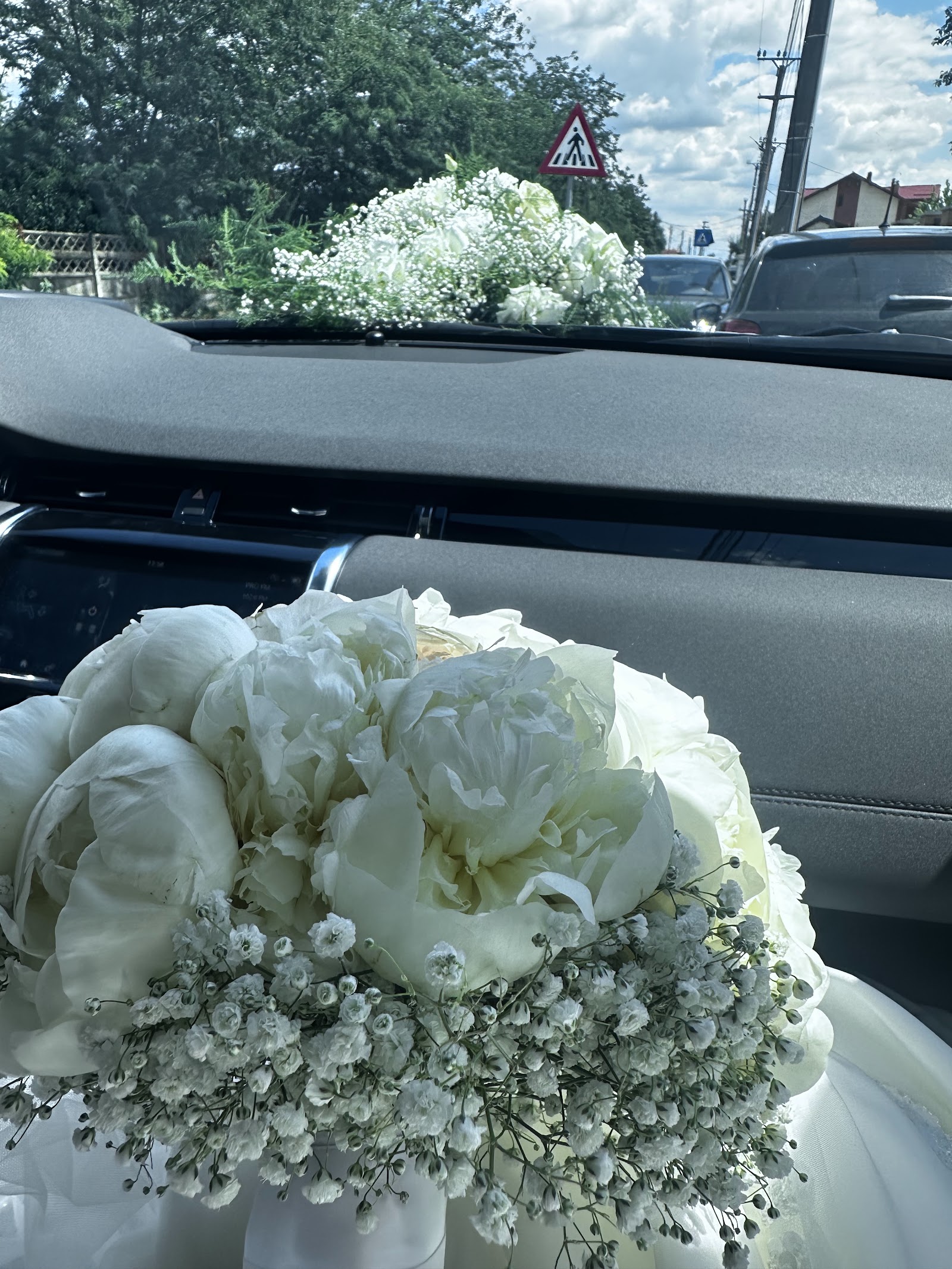 Essential Flowers