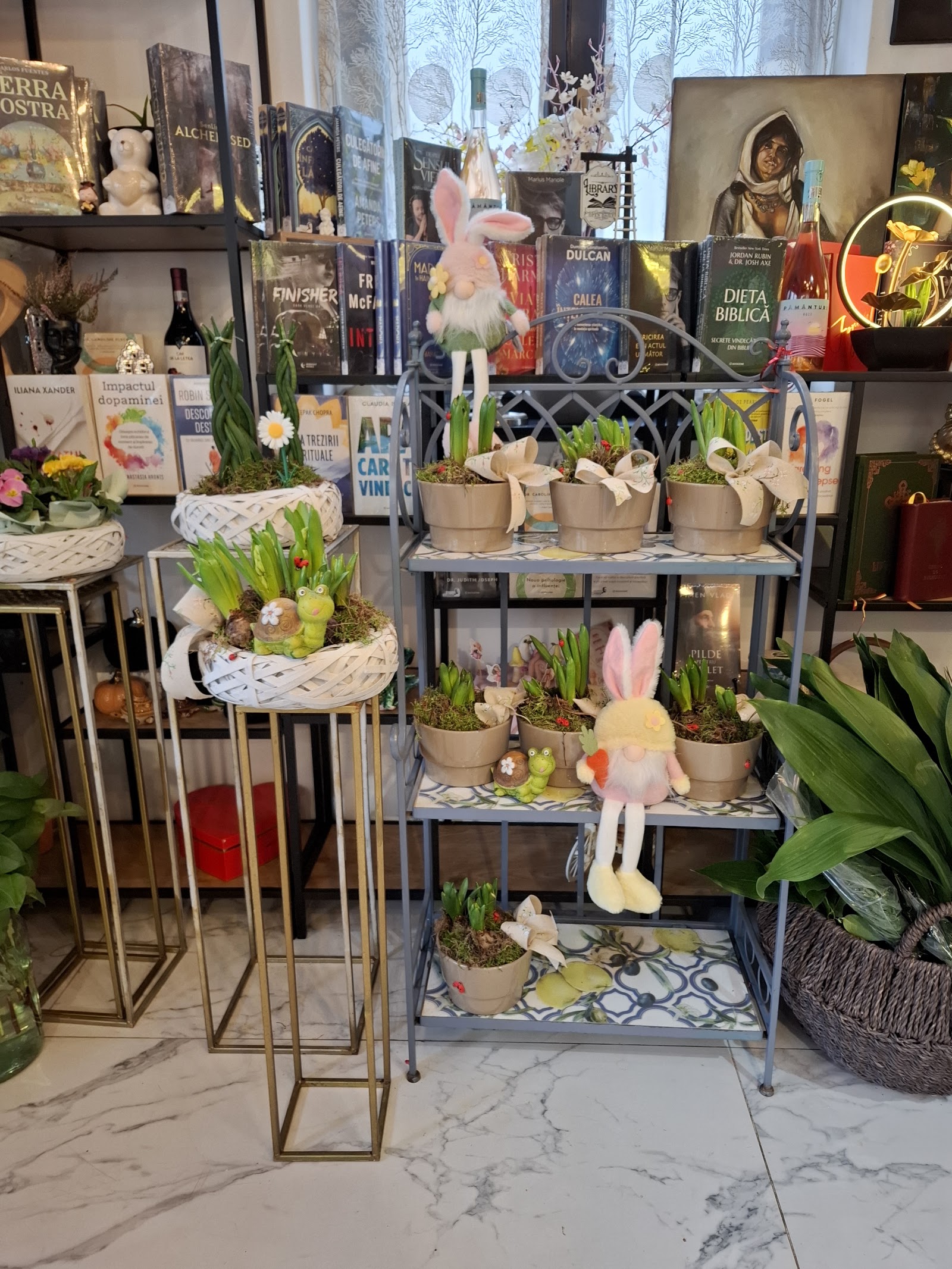Florarie 🌷 Aer de primavara 🌷 Floraria