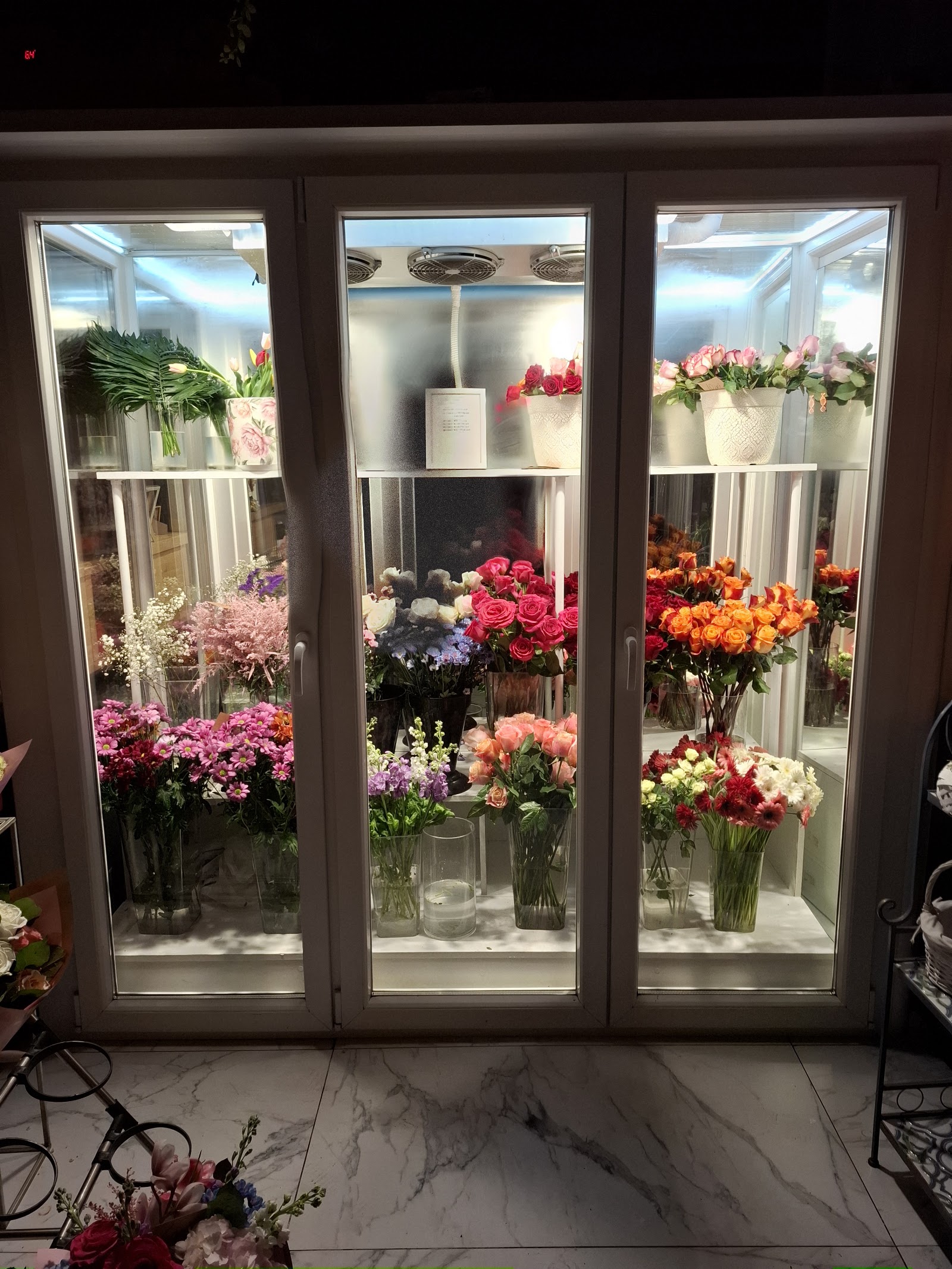 Florarie 🌷 Aer de primavara 🌷 Floraria