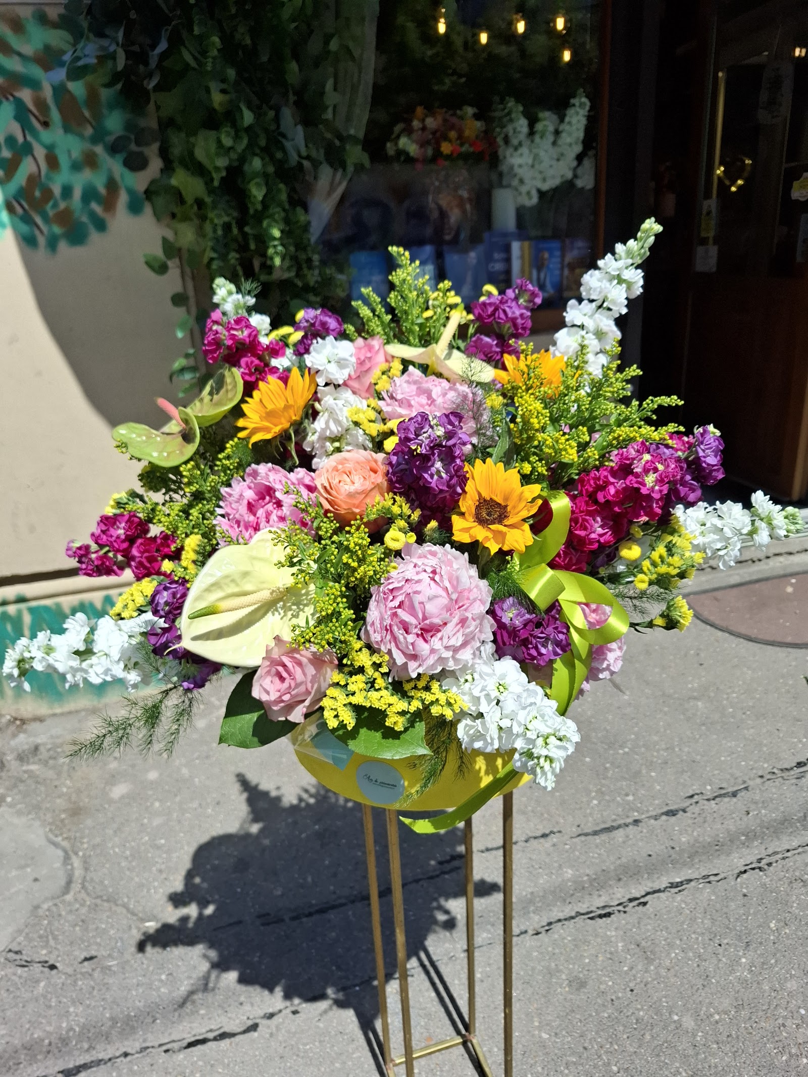 Florarie 🌷 Aer de primavara 🌷 Floraria
