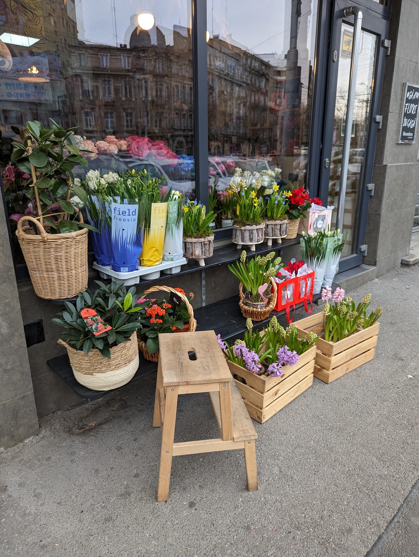 Bloombox Flowers