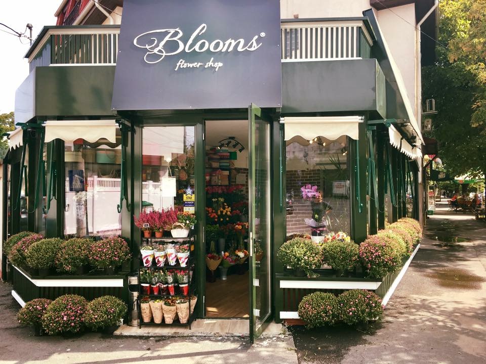 Blooms