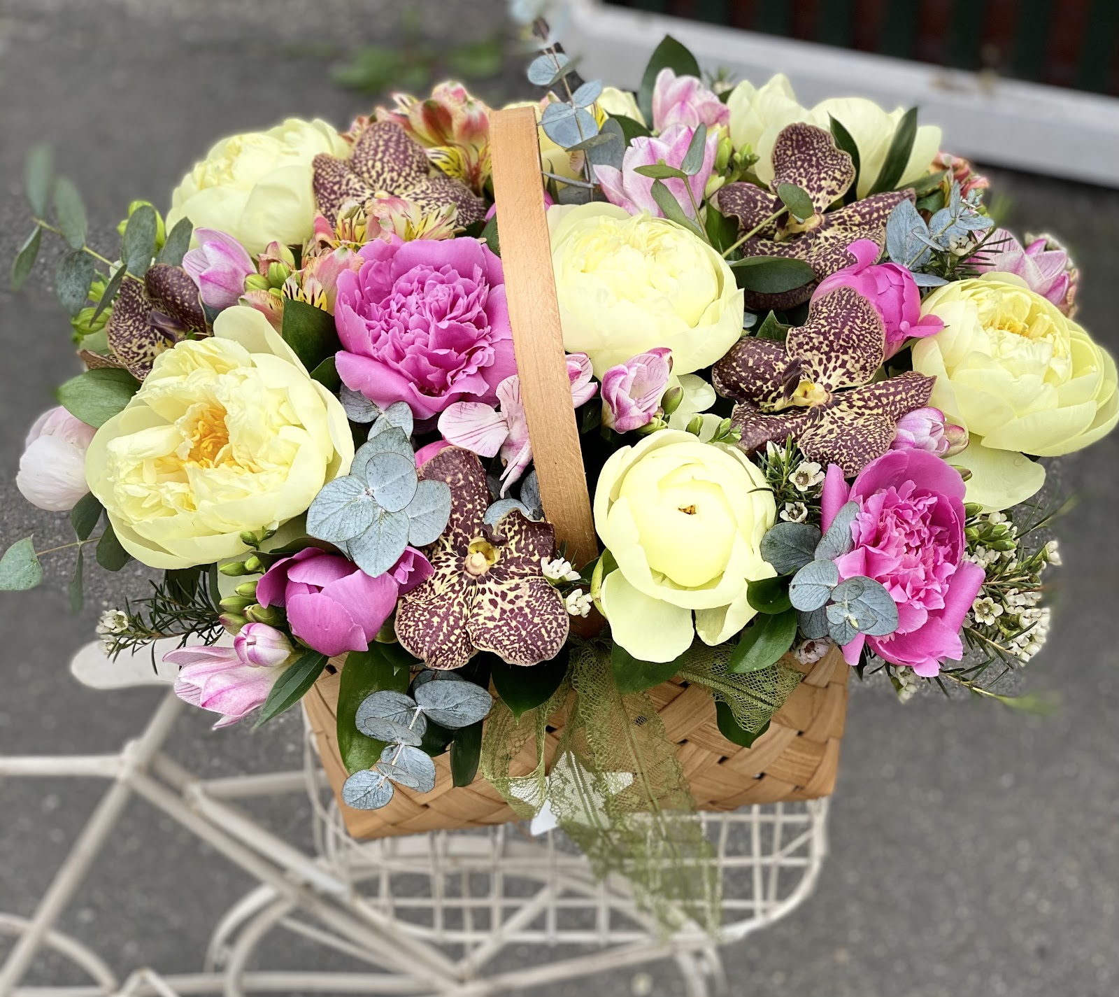 Blooms