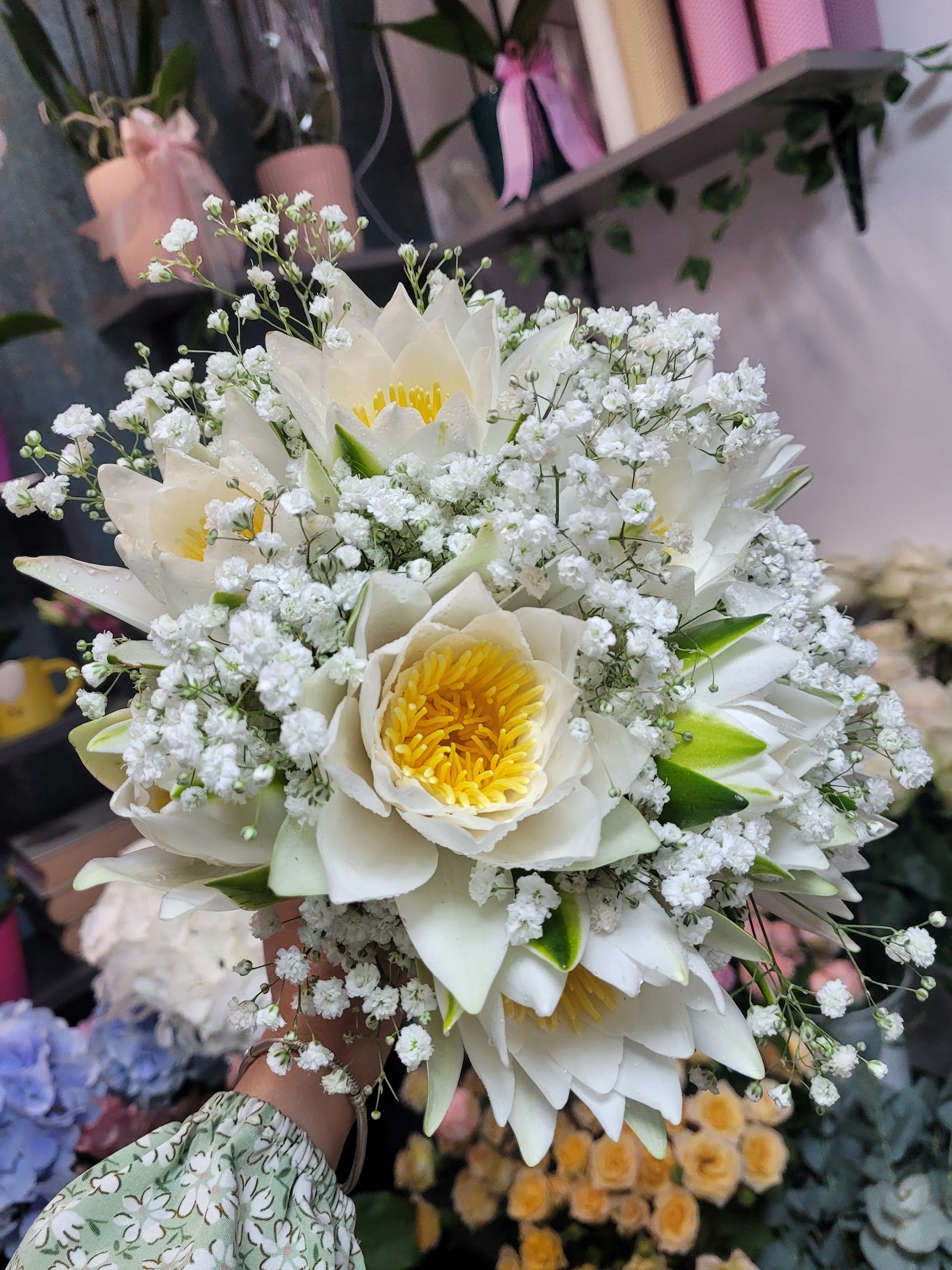 Floraria Victoria