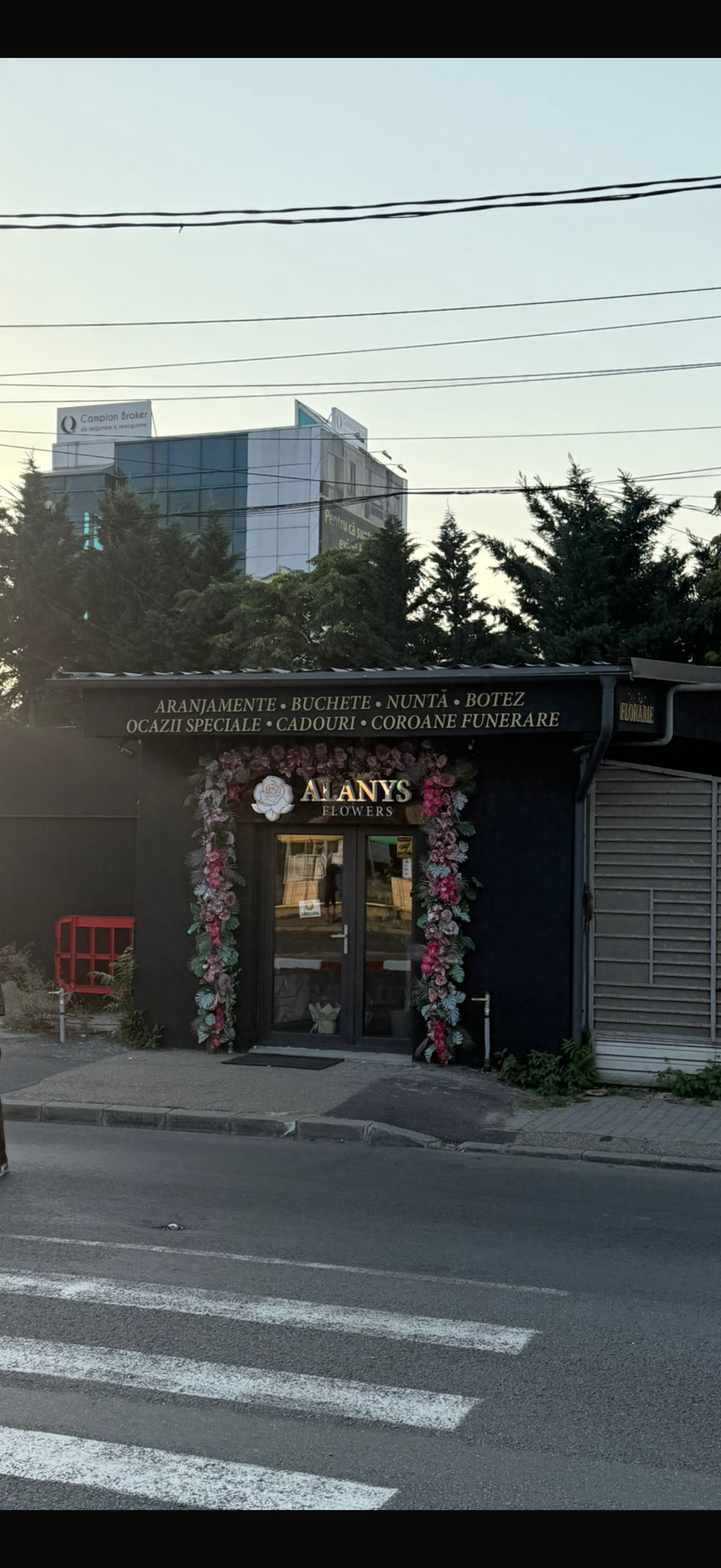 Florarie Ploiesti - Alanys Flowers