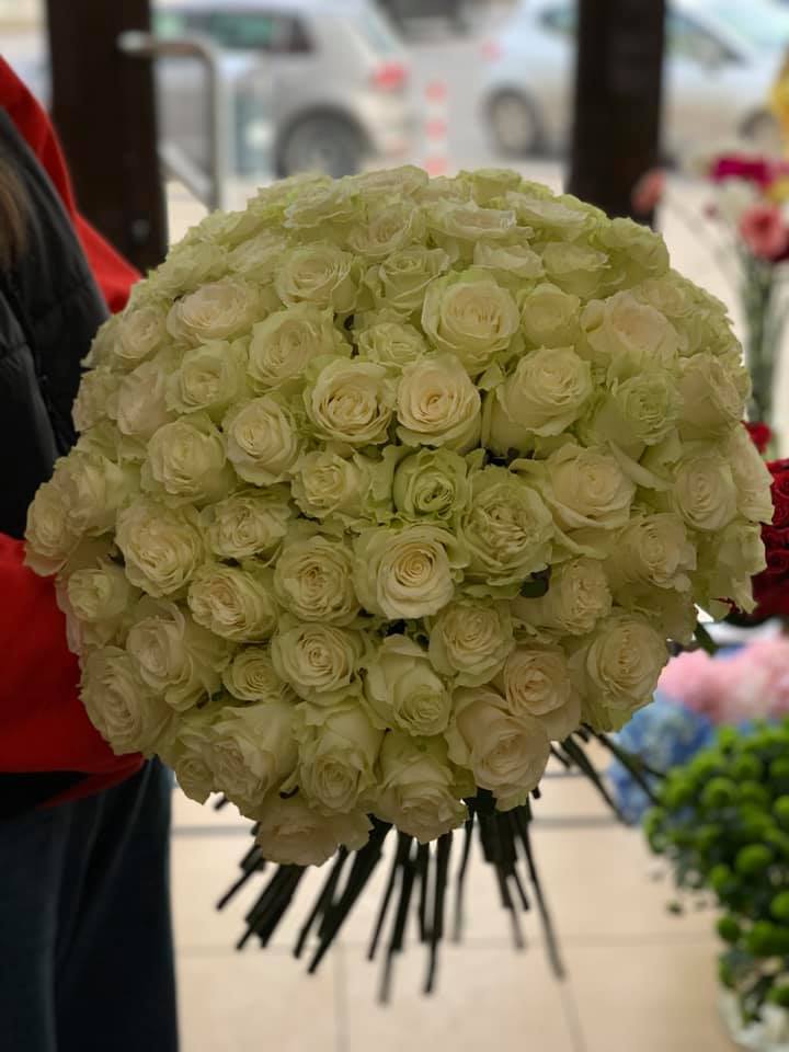 Floria Ploiesti