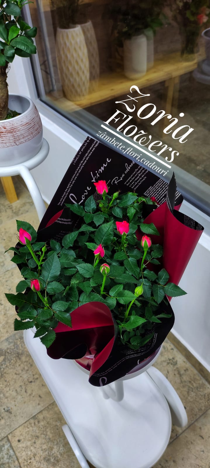 Zoria Flowers