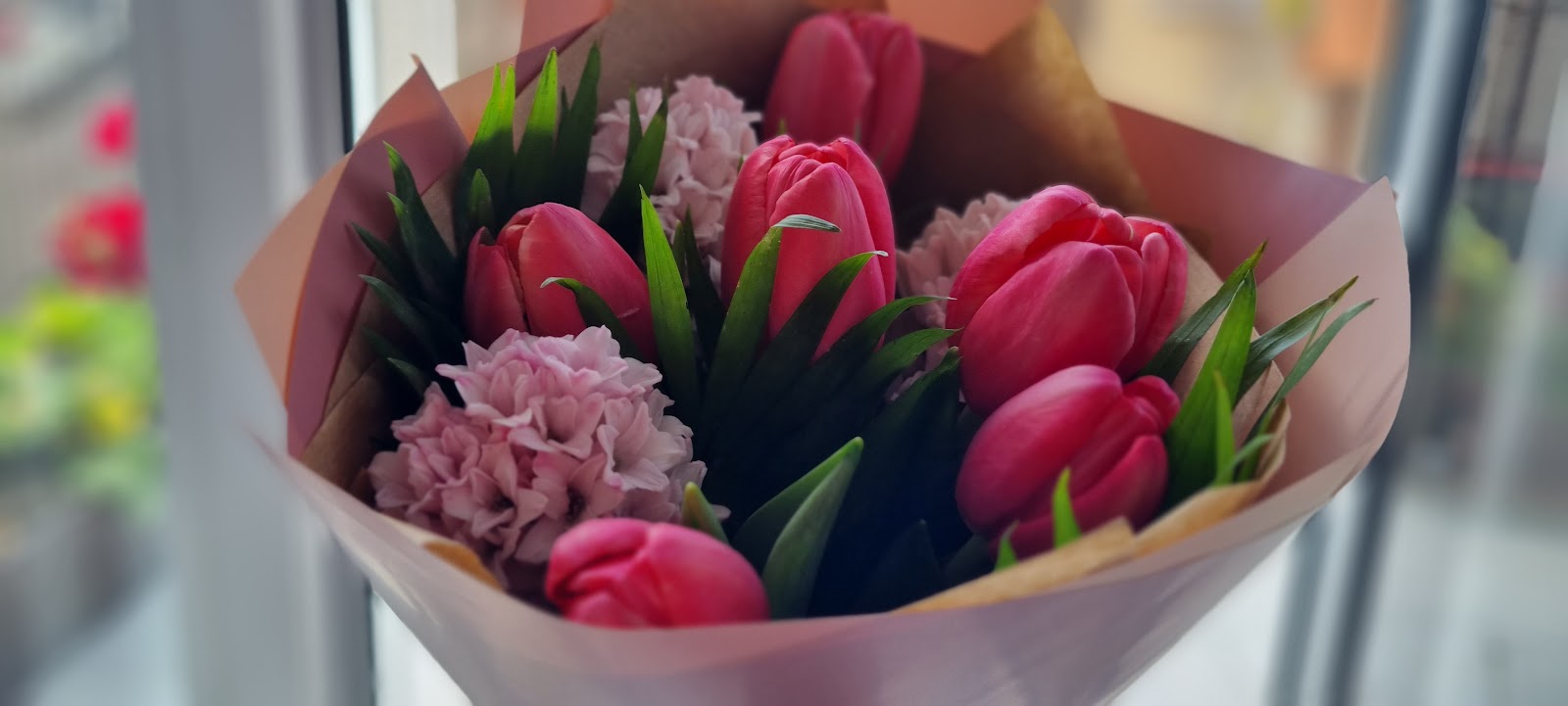 Floraria Effloresce