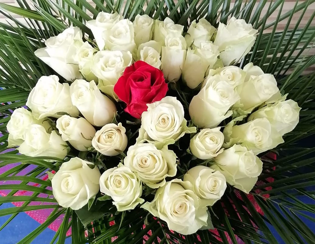 Floraria Mariana