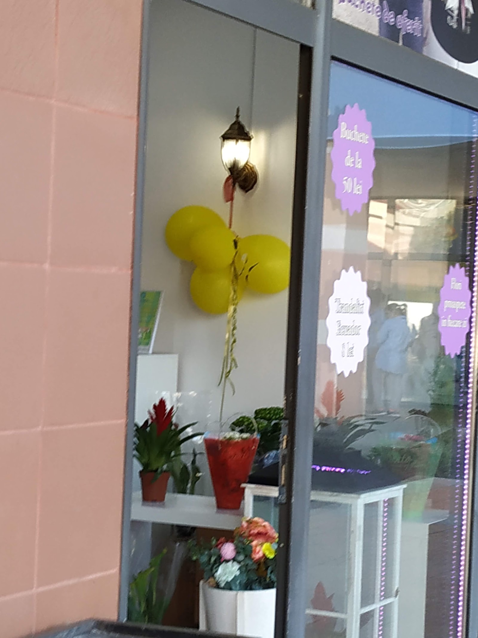 Atelier Floral Bloomy