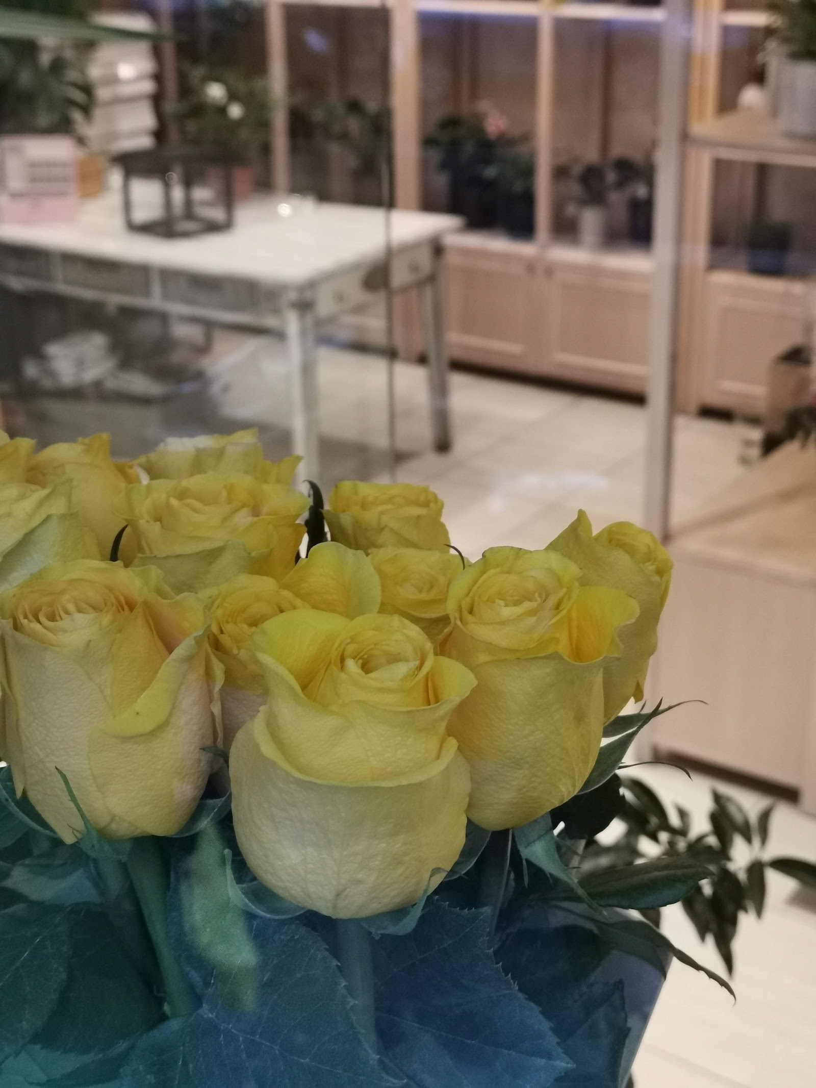 Florăria Floria Ion Câmpineanu