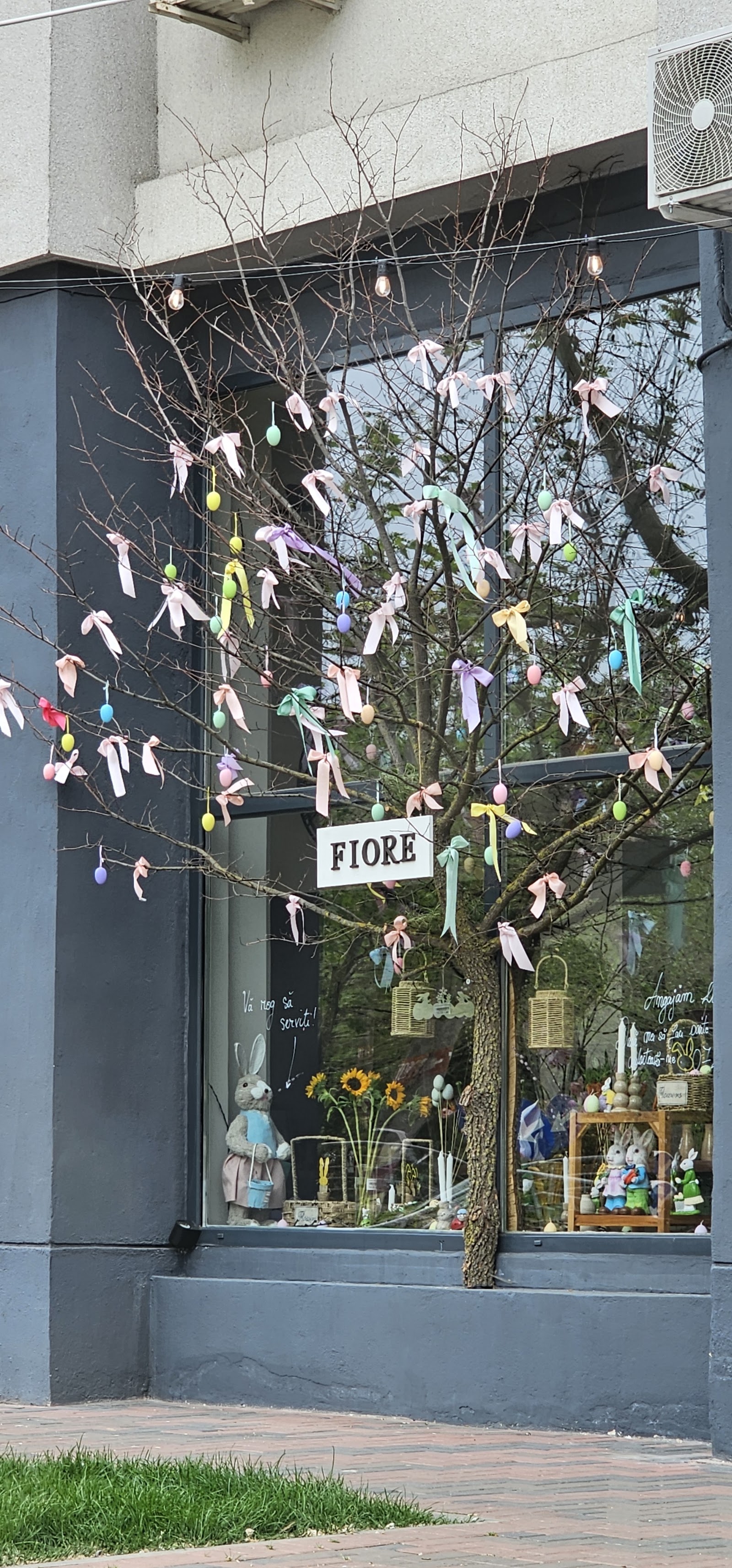 Floraria Fiore