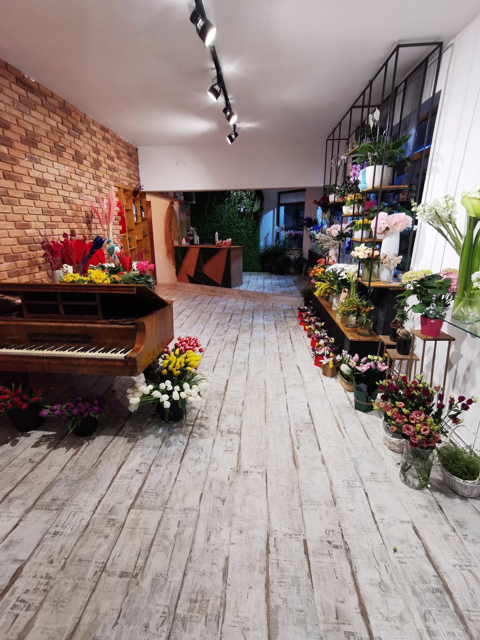 FLORARIA ELFLORA SRL
