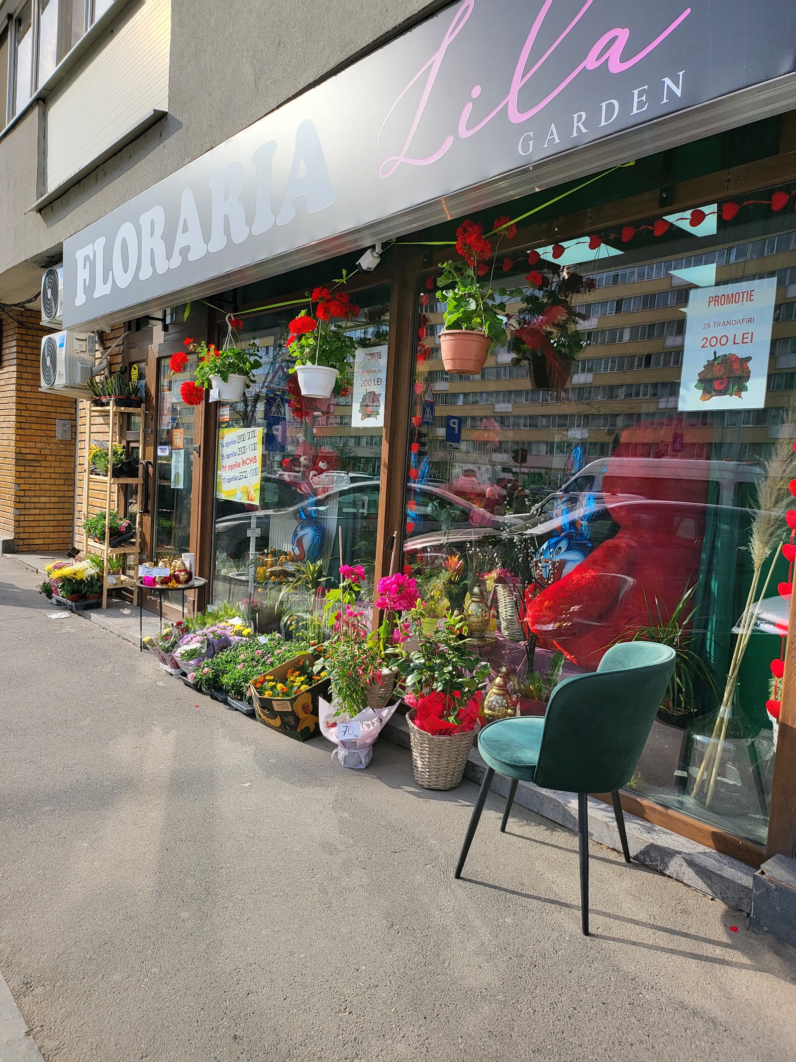 Florăria Lila Garden