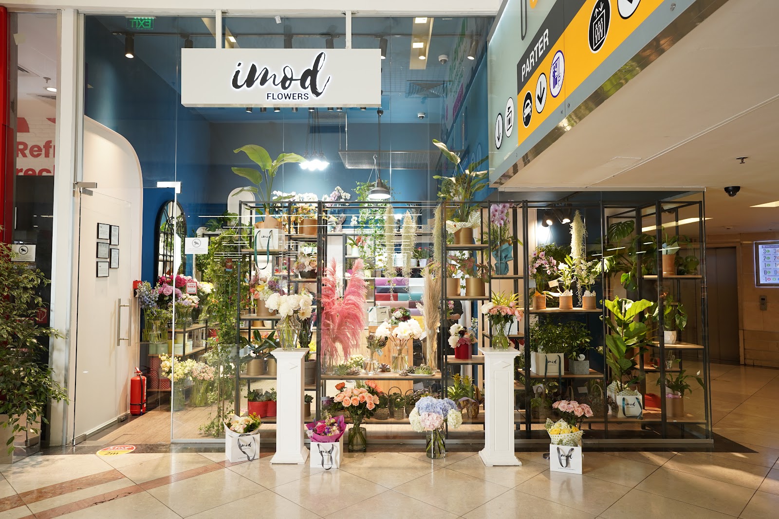 IMOD Flowers