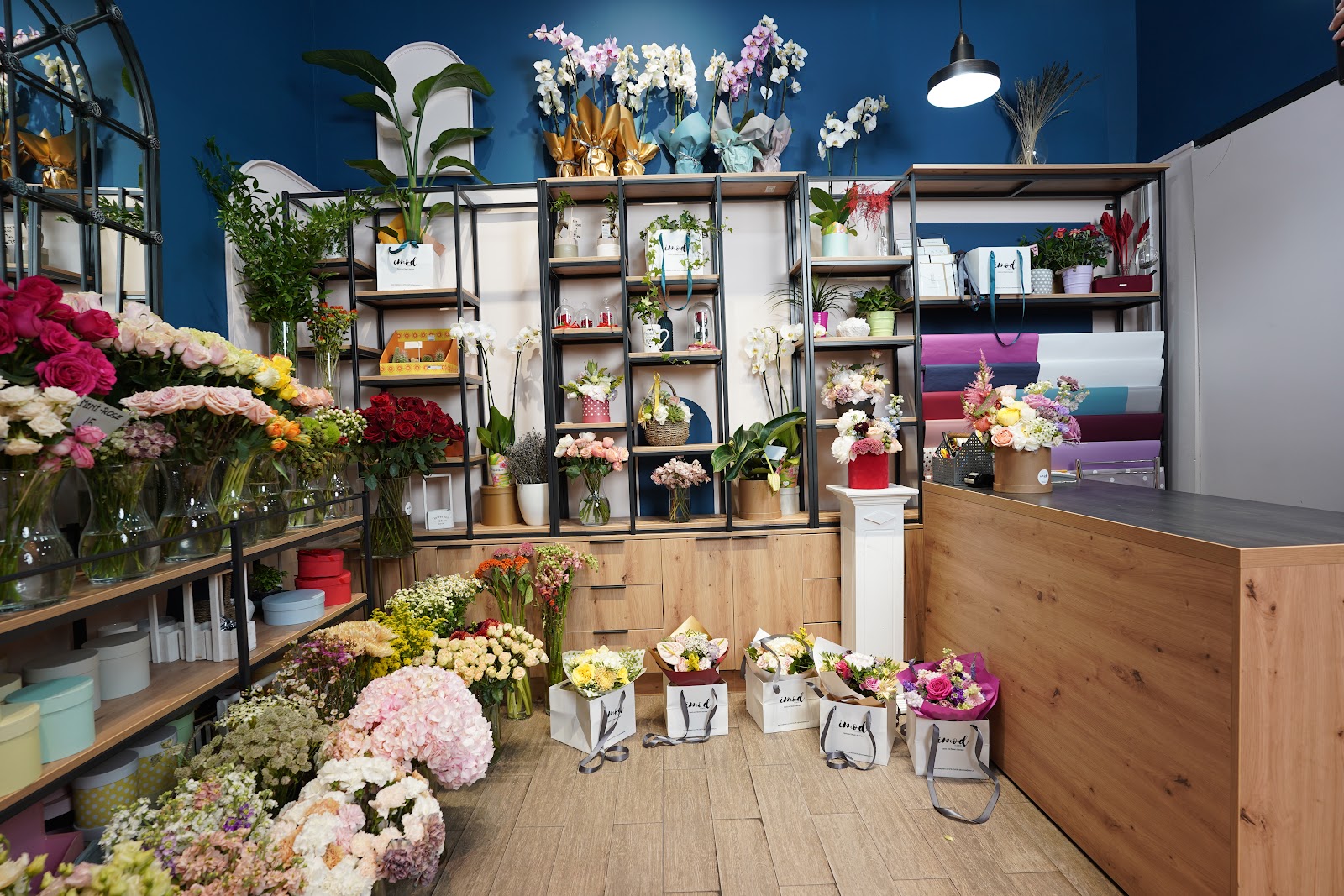 IMOD Flowers