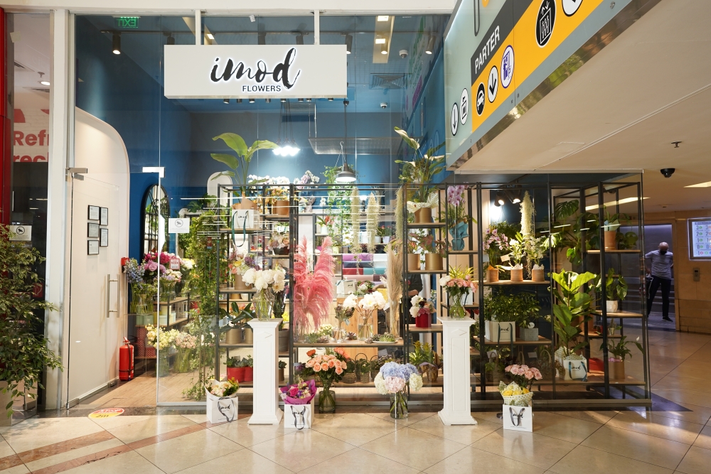 IMOD Flowers