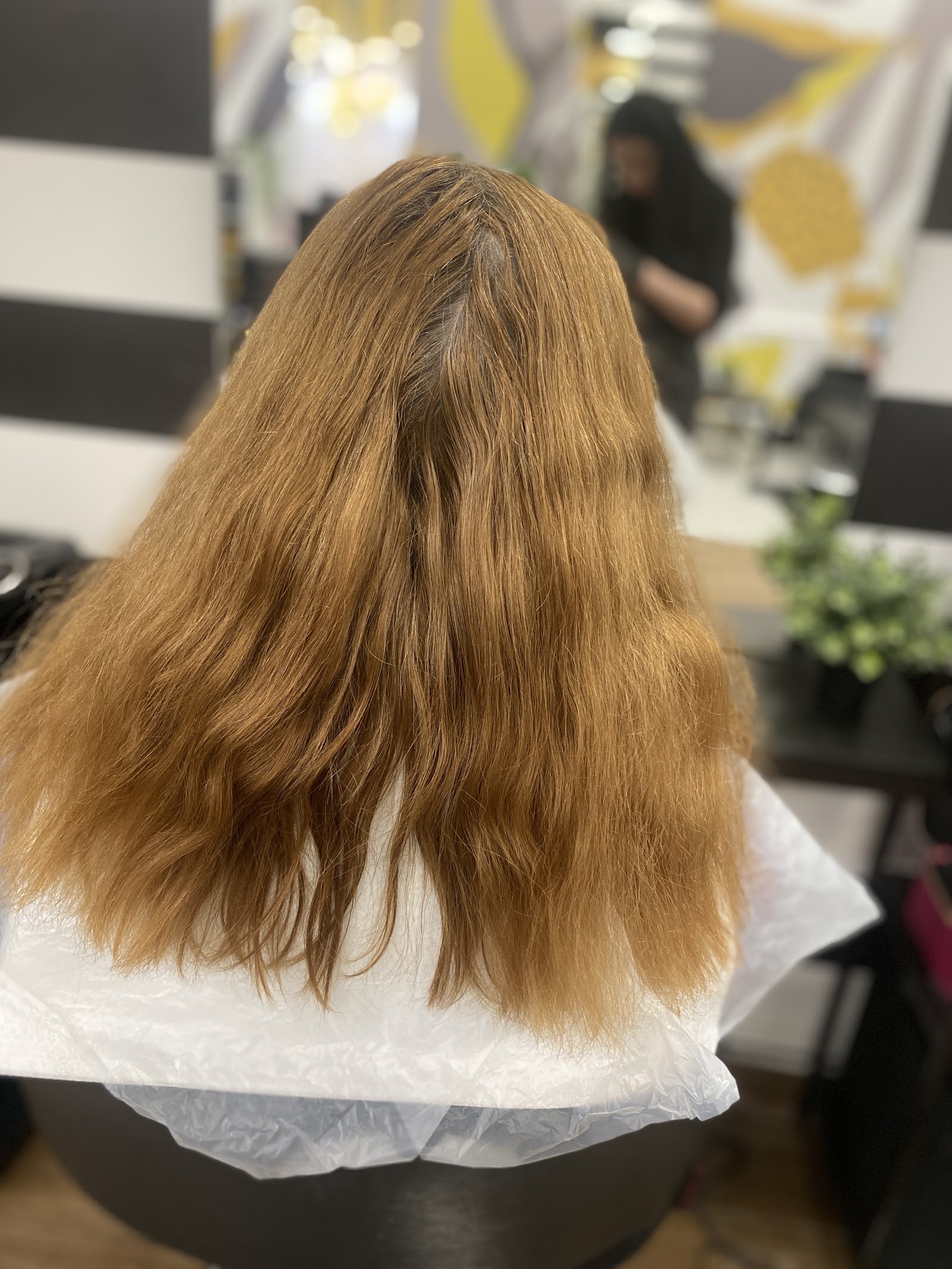 Apollo Beauty Salon Prahova Value Centre