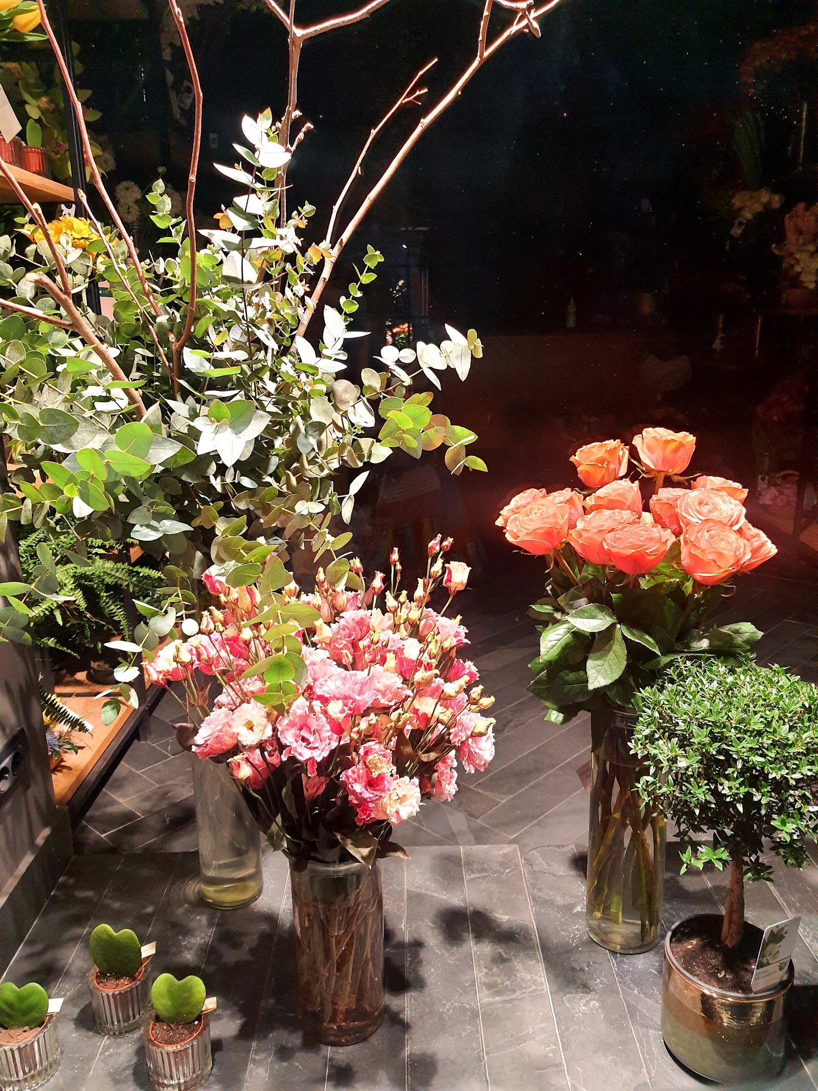 Atelier Iris
