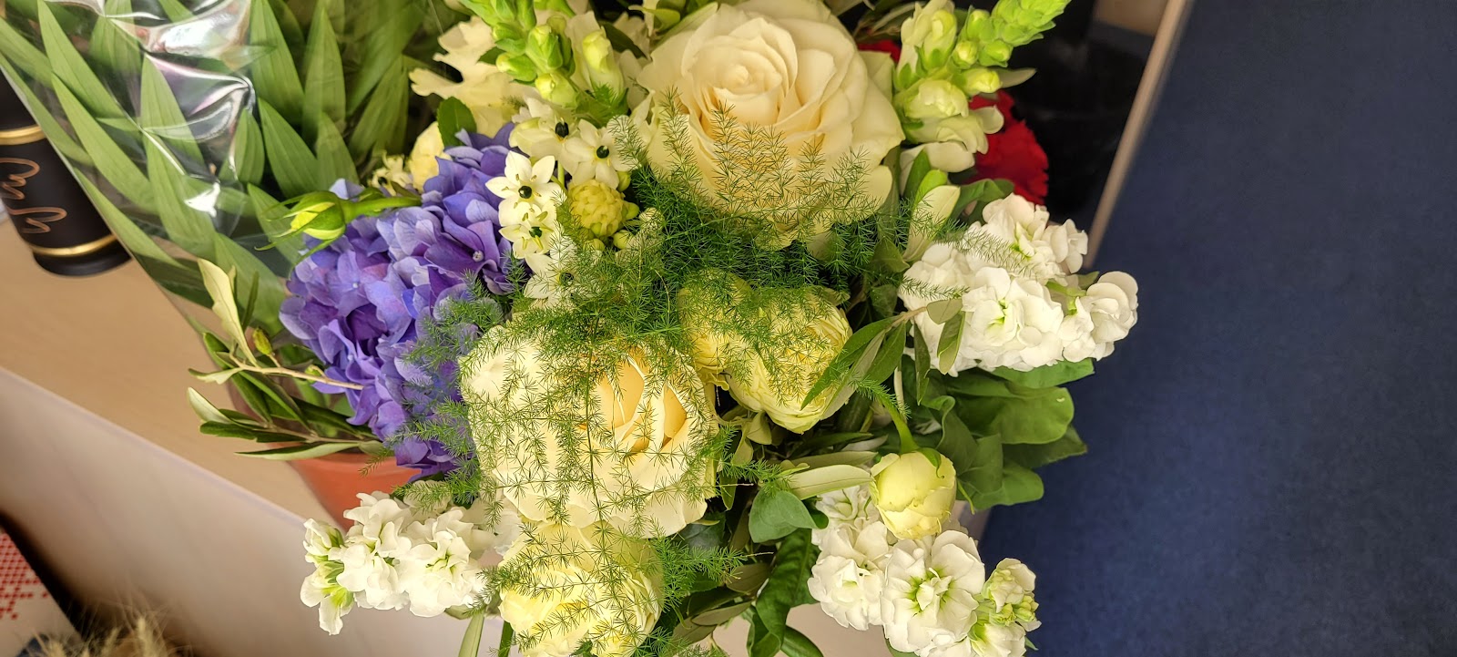 Atelier Iris