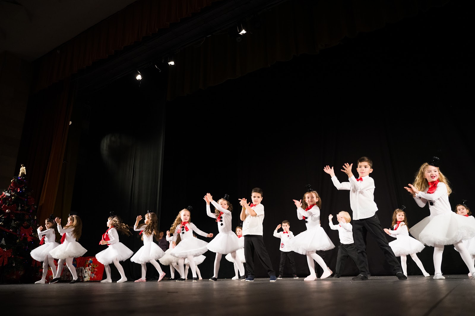 Twins' Dance Studio